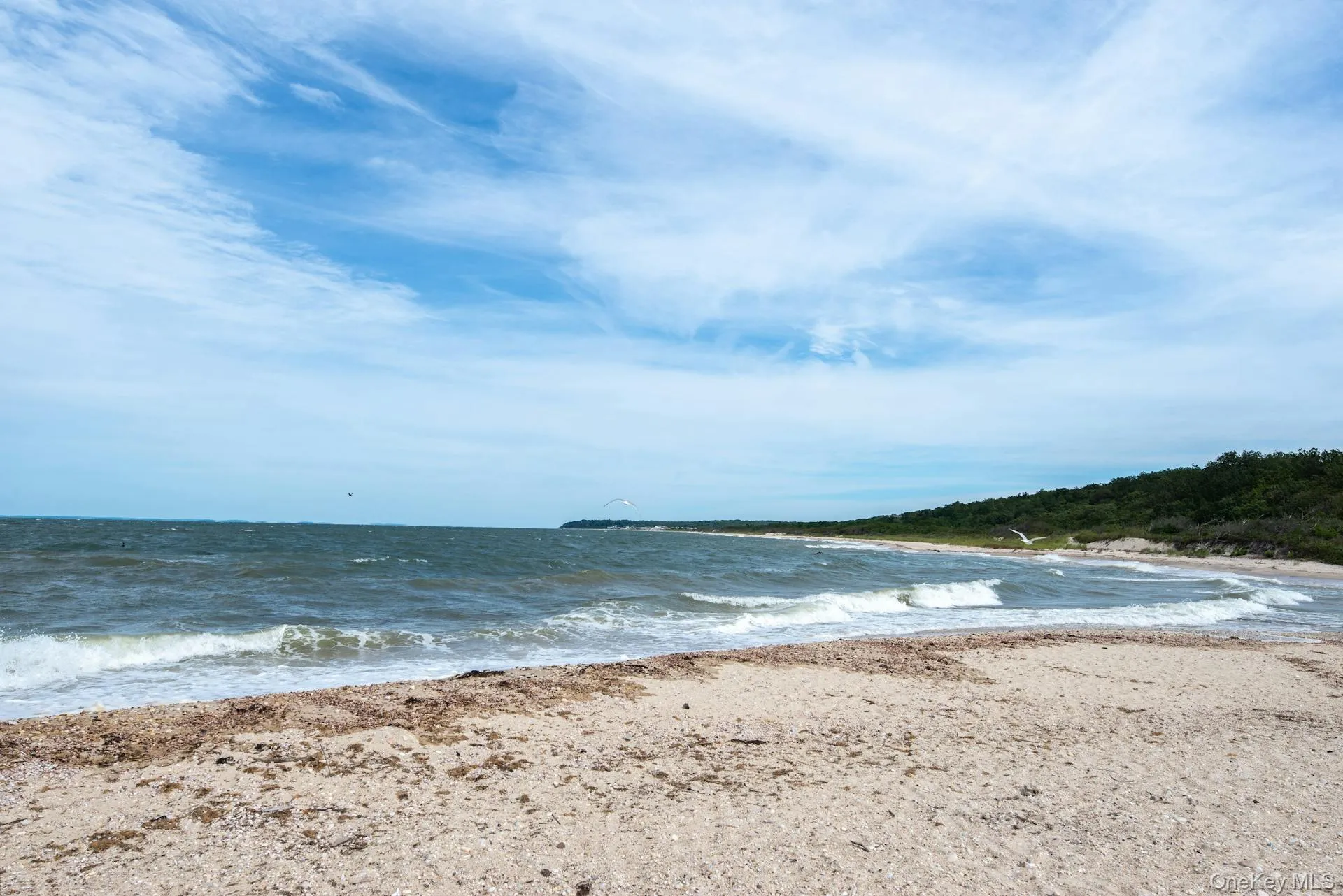 Sandy shoreline with rolling waves and sweeping LI Sound views, capturing the natural beauty of the coastline just below the bluff Sandy shoreline with rolling waves and sweeping LI Sound views, capturing the natural beauty of the coastline just below the bluff