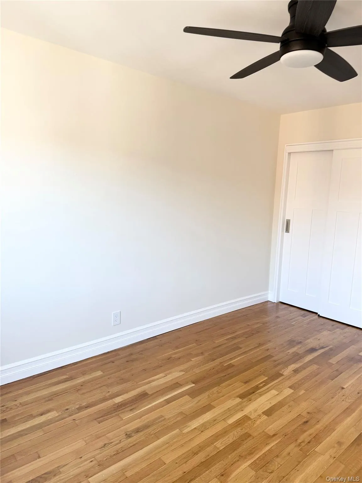 5919 74th Street, New York, NY, 2 Bedrooms Bedrooms, 4 Rooms Rooms,1 BathroomBathrooms,Residential Lease,For Rent,74th,0,973511 5919 74th Street, New York, NY, 2 Bedrooms Bedrooms, 4 Rooms Rooms,1 BathroomBathrooms,Residential Lease,For Rent,74th,0,973511