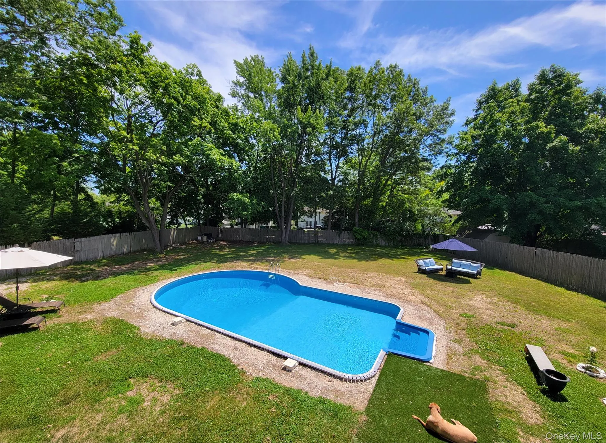 372 Clay Pitts Road, Huntington, NY, 4 Bedrooms Bedrooms, 9 Rooms Rooms,1 BathroomBathrooms,Residential,For Rent,Clay Pitts,0,973517 372 Clay Pitts Road, Huntington, NY, 4 Bedrooms Bedrooms, 9 Rooms Rooms,1 BathroomBathrooms,Residential,For Rent,Clay Pitts,0,973517