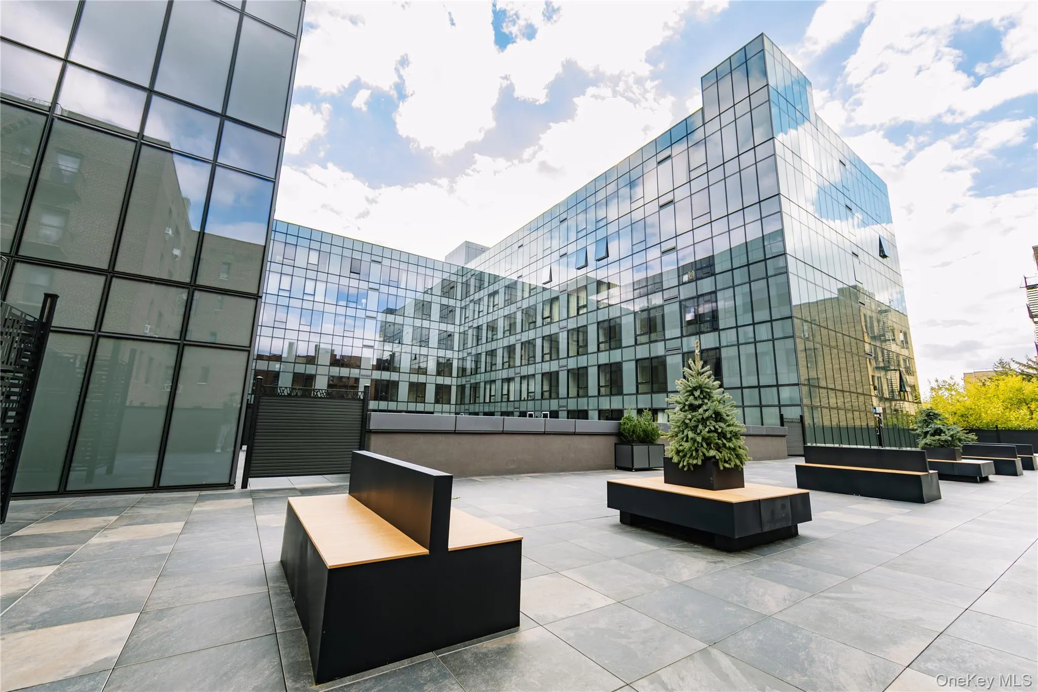 14449 Northern Boulevard, New York, NY, 1 Bedroom Bedrooms, 3 Rooms Rooms,1 BathroomBathrooms,Residential Lease,For Rent,Northern,0,973539 14449 Northern Boulevard, New York, NY, 1 Bedroom Bedrooms, 3 Rooms Rooms,1 BathroomBathrooms,Residential Lease,For Rent,Northern,0,973539