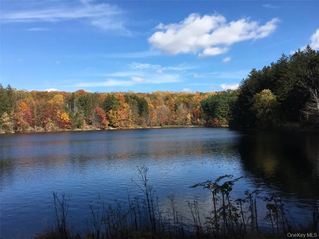 irvington Reservoir in Autumn -- Cyrus Field Road irvington Reservoir in Autumn -- Cyrus Field Road
