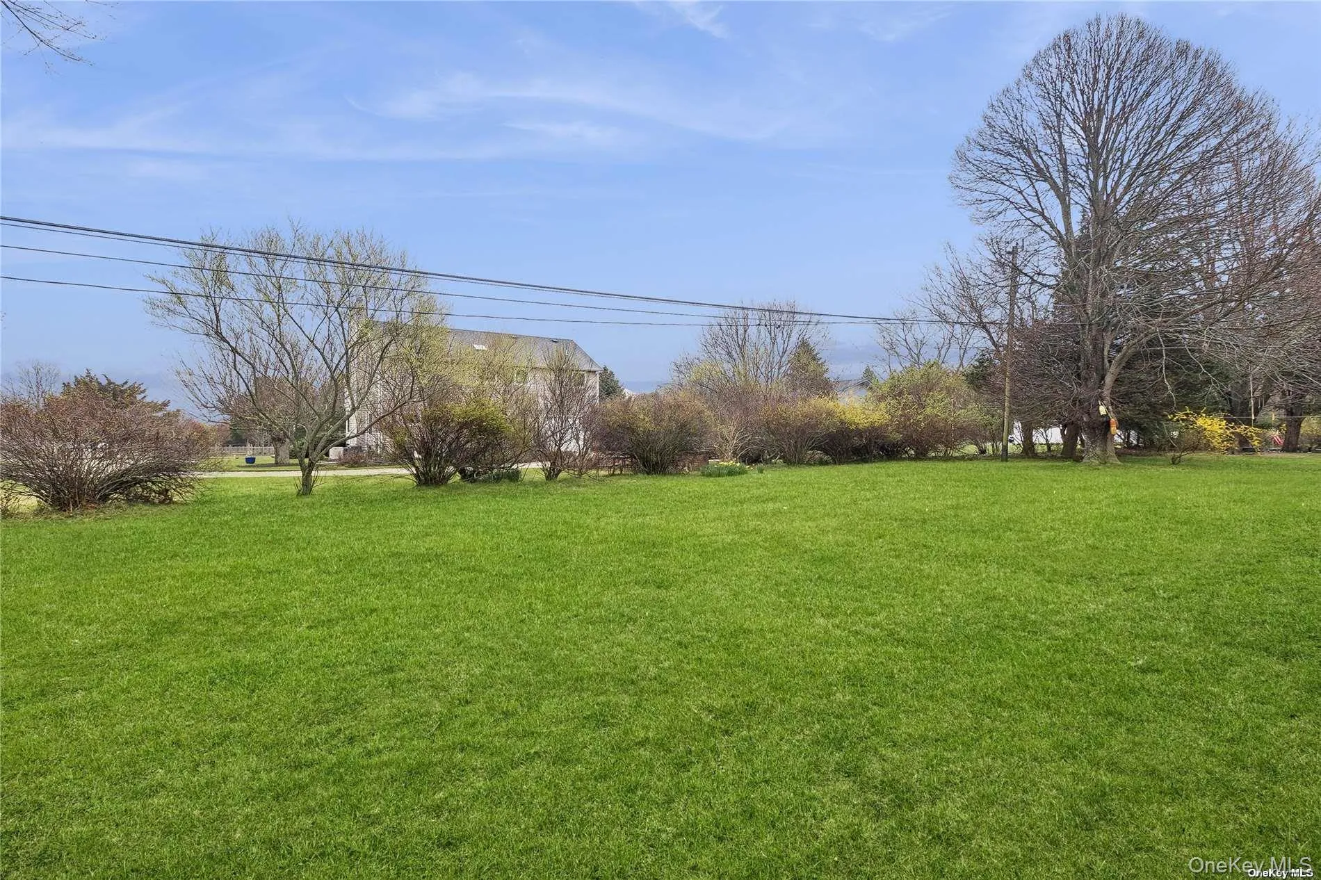 Sprawling back yard Sprawling back yard