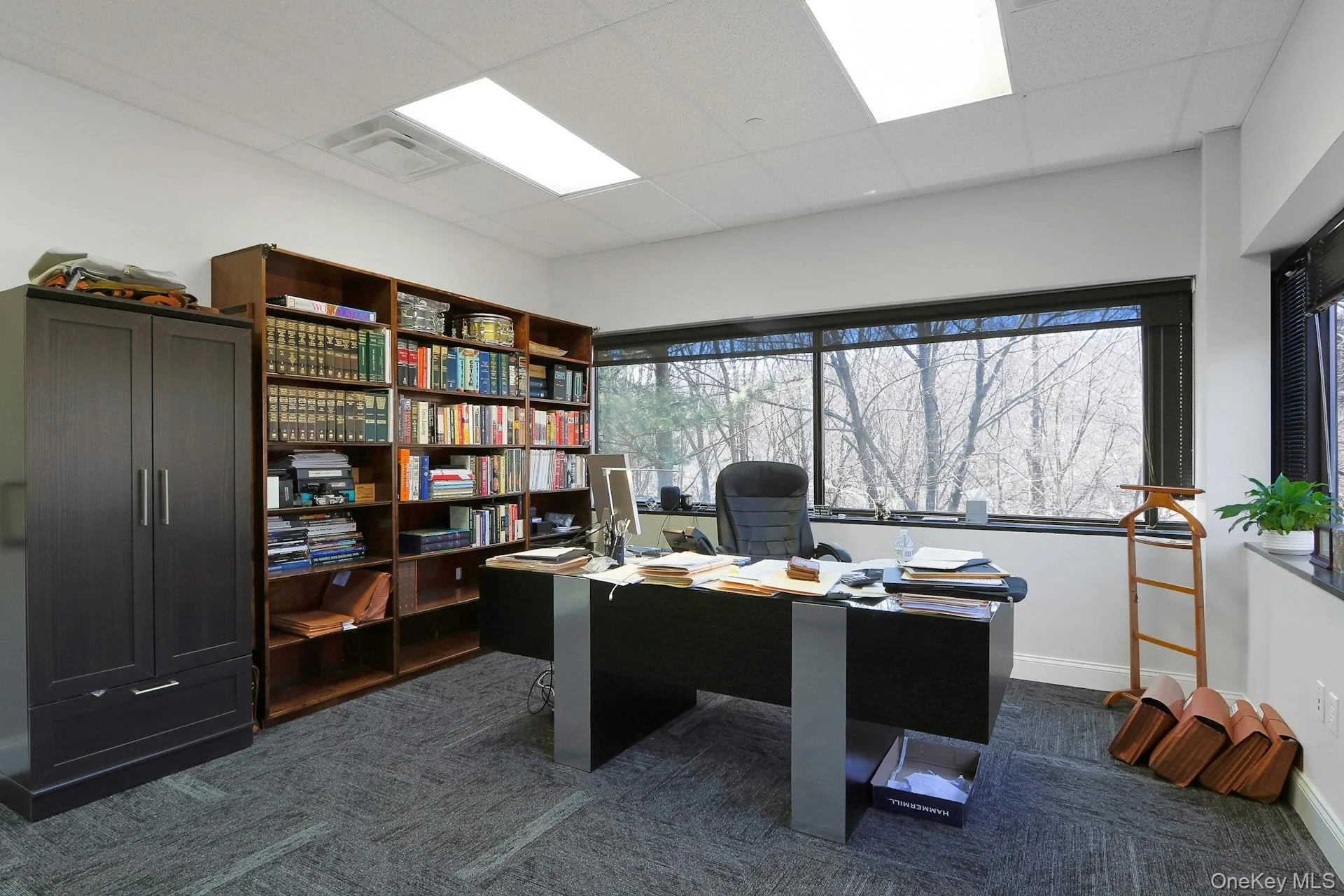 100 Dutch Hill Road, Orangetown, NY, ,Commercial Lease,For Rent,Dutch Hill,0,973681 100 Dutch Hill Road, Orangetown, NY, ,Commercial Lease,For Rent,Dutch Hill,0,973681