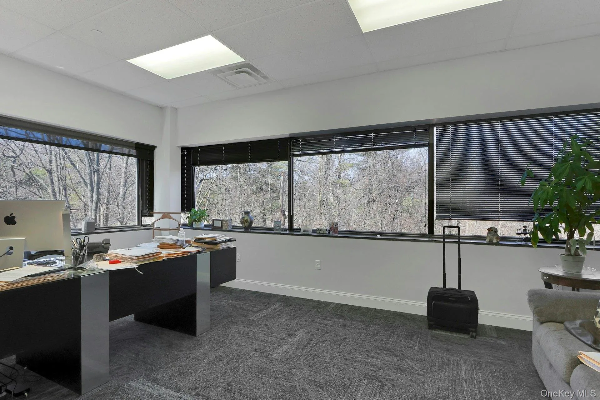 100 Dutch Hill Road, Orangetown, NY, ,Commercial Lease,For Rent,Dutch Hill,0,973681 100 Dutch Hill Road, Orangetown, NY, ,Commercial Lease,For Rent,Dutch Hill,0,973681