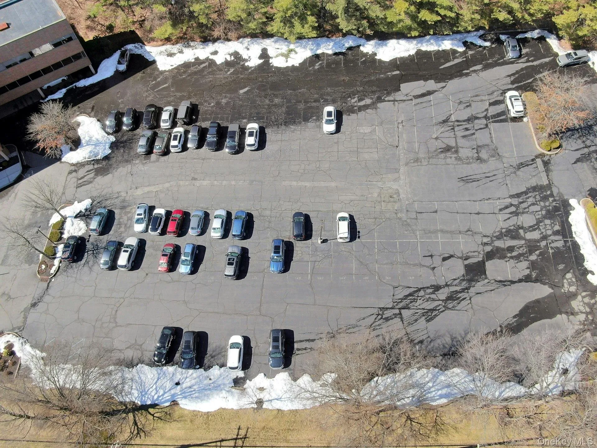 100 Dutch Hill Road, Orangetown, NY, ,Commercial Lease,For Rent,Dutch Hill,0,973681 100 Dutch Hill Road, Orangetown, NY, ,Commercial Lease,For Rent,Dutch Hill,0,973681