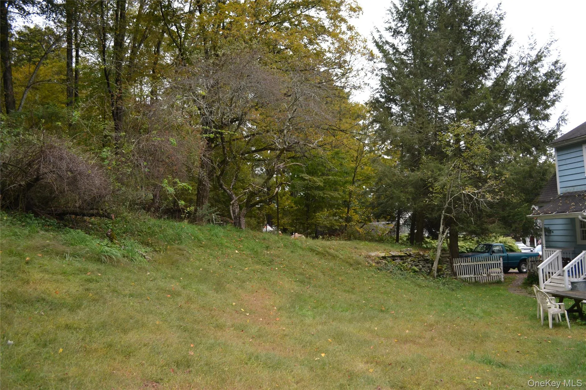 Back yard Back yard