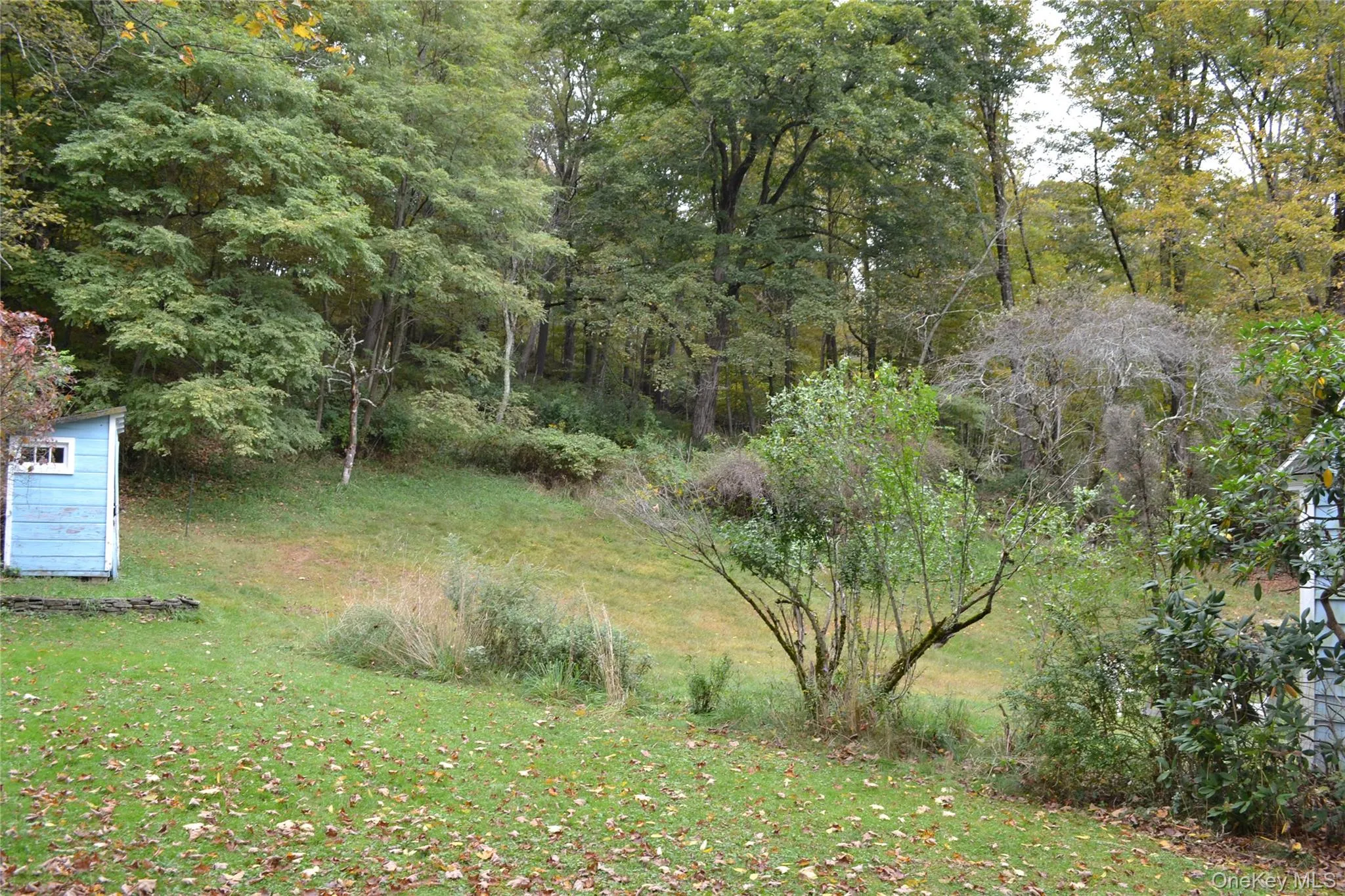 Side yard Side yard