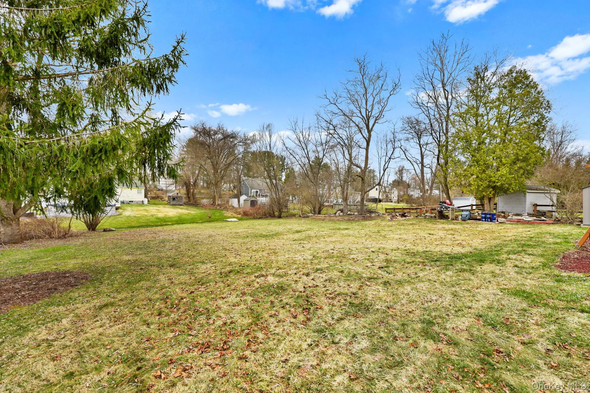 Spacious backyard. Spacious backyard.