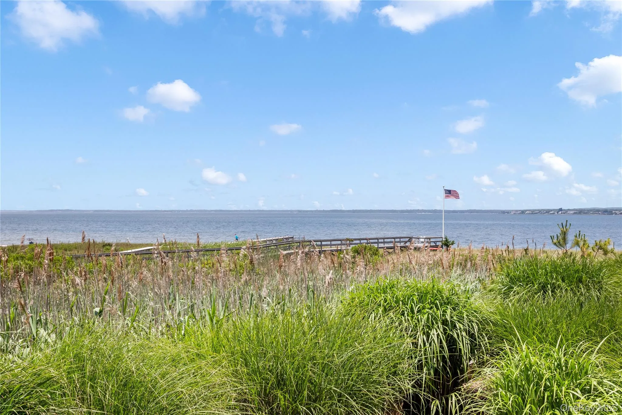580 Dune Road, Southampton, NY, 3 Bedrooms Bedrooms, 7 Rooms Rooms,2 BathroomsBathrooms,Residential,For Rent,Dune,0,973928 580 Dune Road, Southampton, NY, 3 Bedrooms Bedrooms, 7 Rooms Rooms,2 BathroomsBathrooms,Residential,For Rent,Dune,0,973928