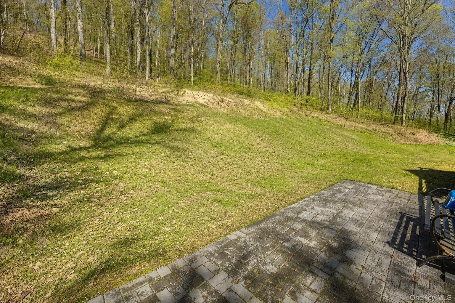 AI generated to show backyard cleared AI generated to show backyard cleared