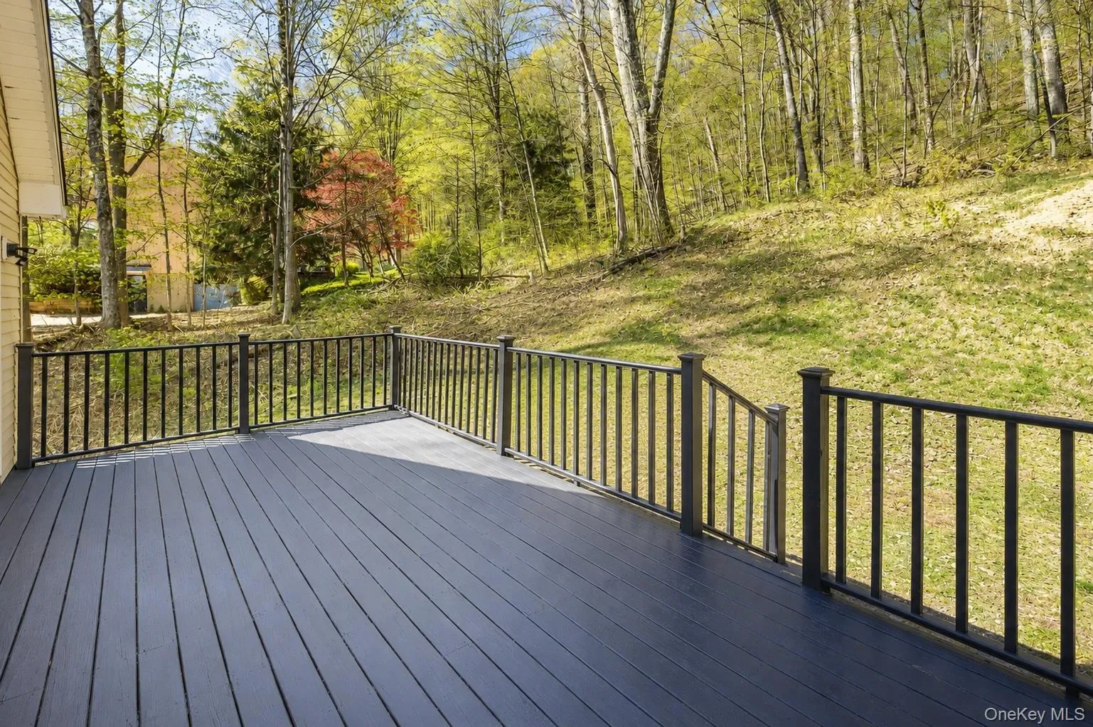AI generated to show backyard cleared AI generated to show backyard cleared