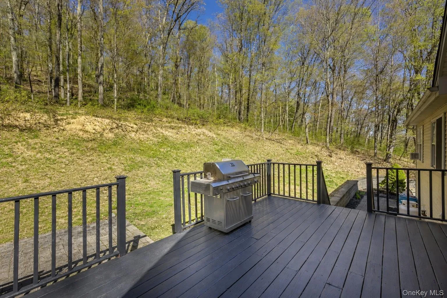 AI generated to show backyard cleared AI generated to show backyard cleared