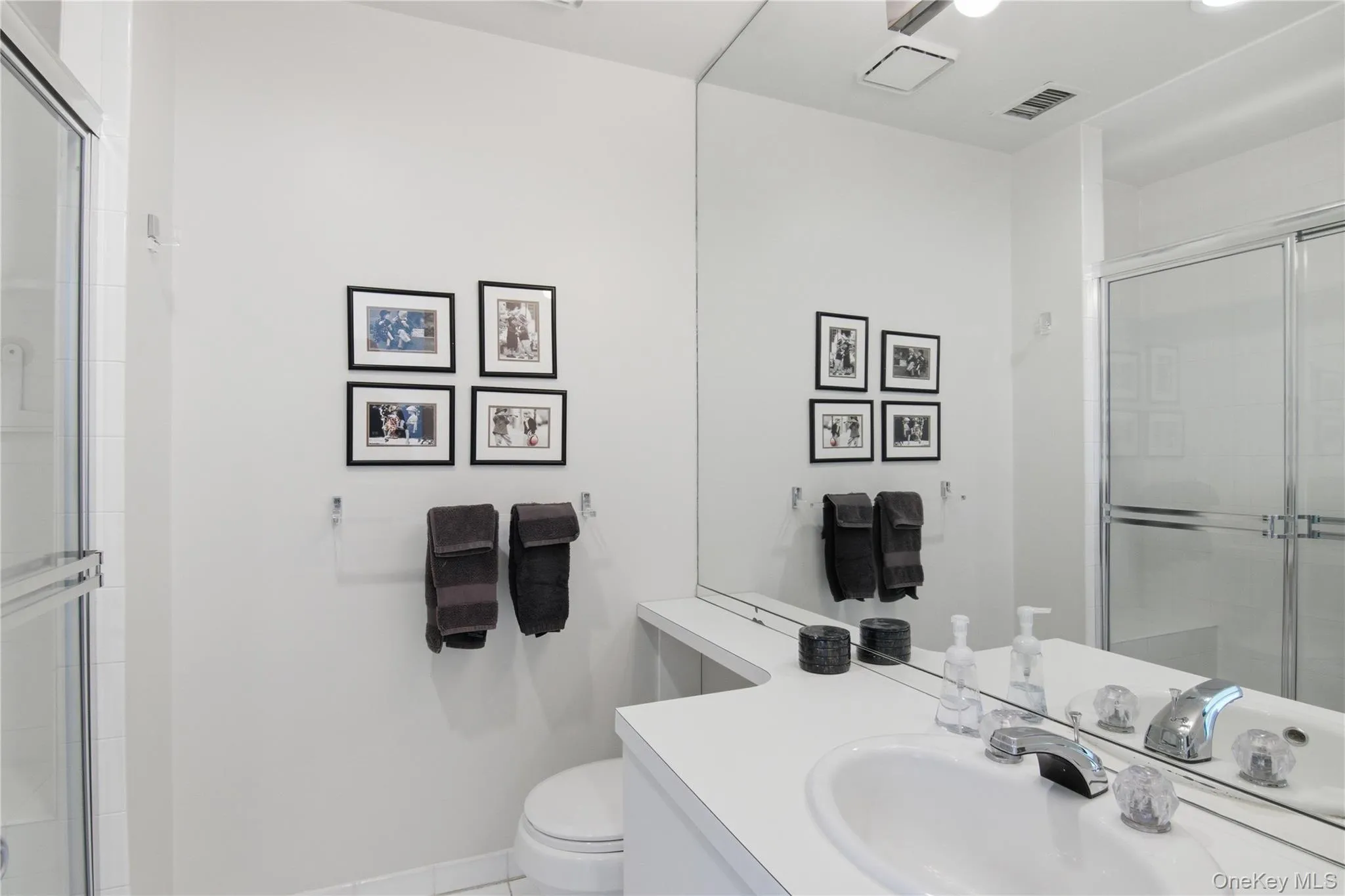 Bathroom featuring a shower stall and vanity Bathroom featuring a shower stall and vanity