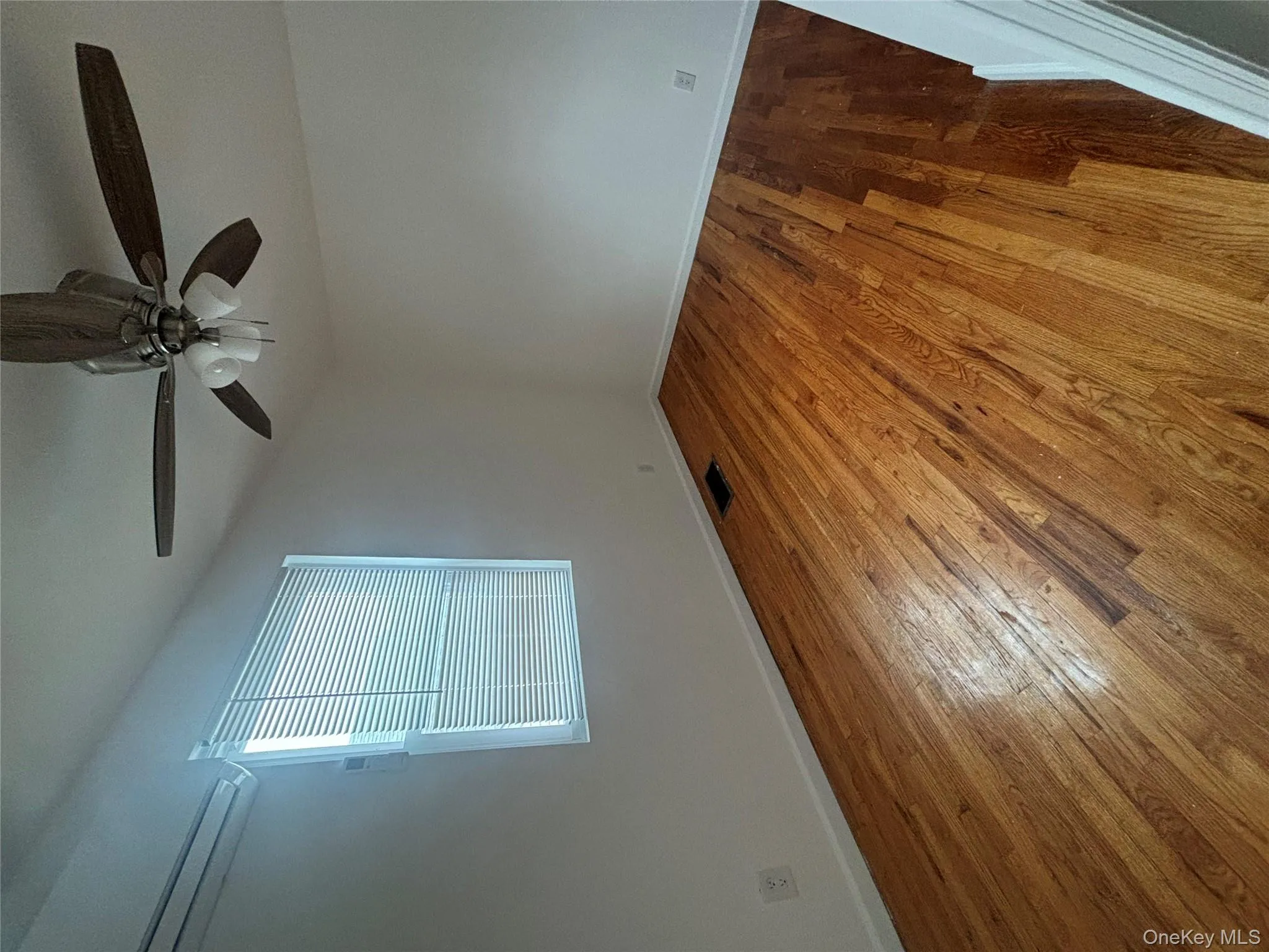 17 Wingate Rd, Hempstead, NY, 3 Bedrooms Bedrooms, 6 Rooms Rooms,1 BathroomBathrooms,Residential Lease,For Rent,Wingate Rd,0,974336 17 Wingate Rd, Hempstead, NY, 3 Bedrooms Bedrooms, 6 Rooms Rooms,1 BathroomBathrooms,Residential Lease,For Rent,Wingate Rd,0,974336