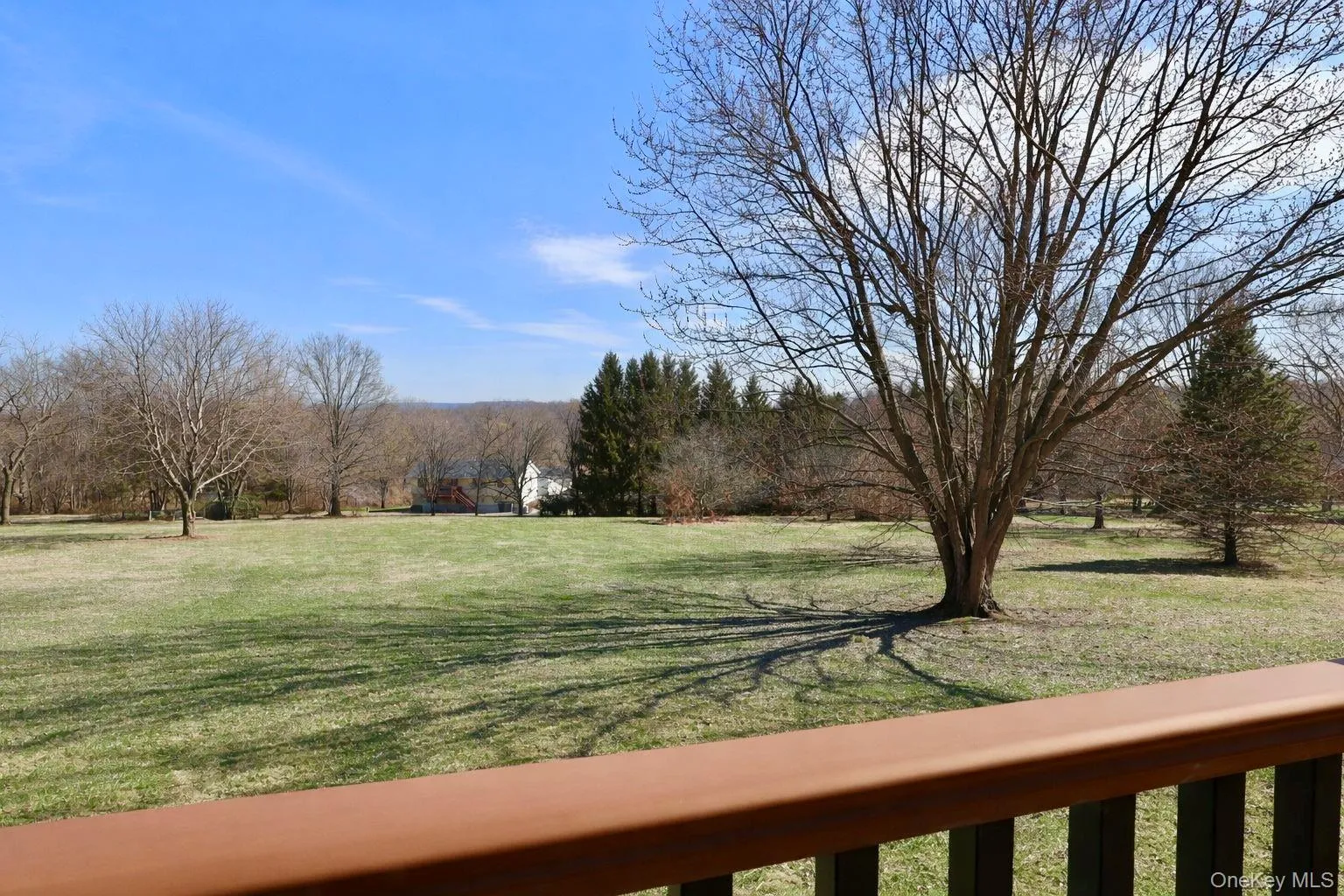 Large back yard Large back yard