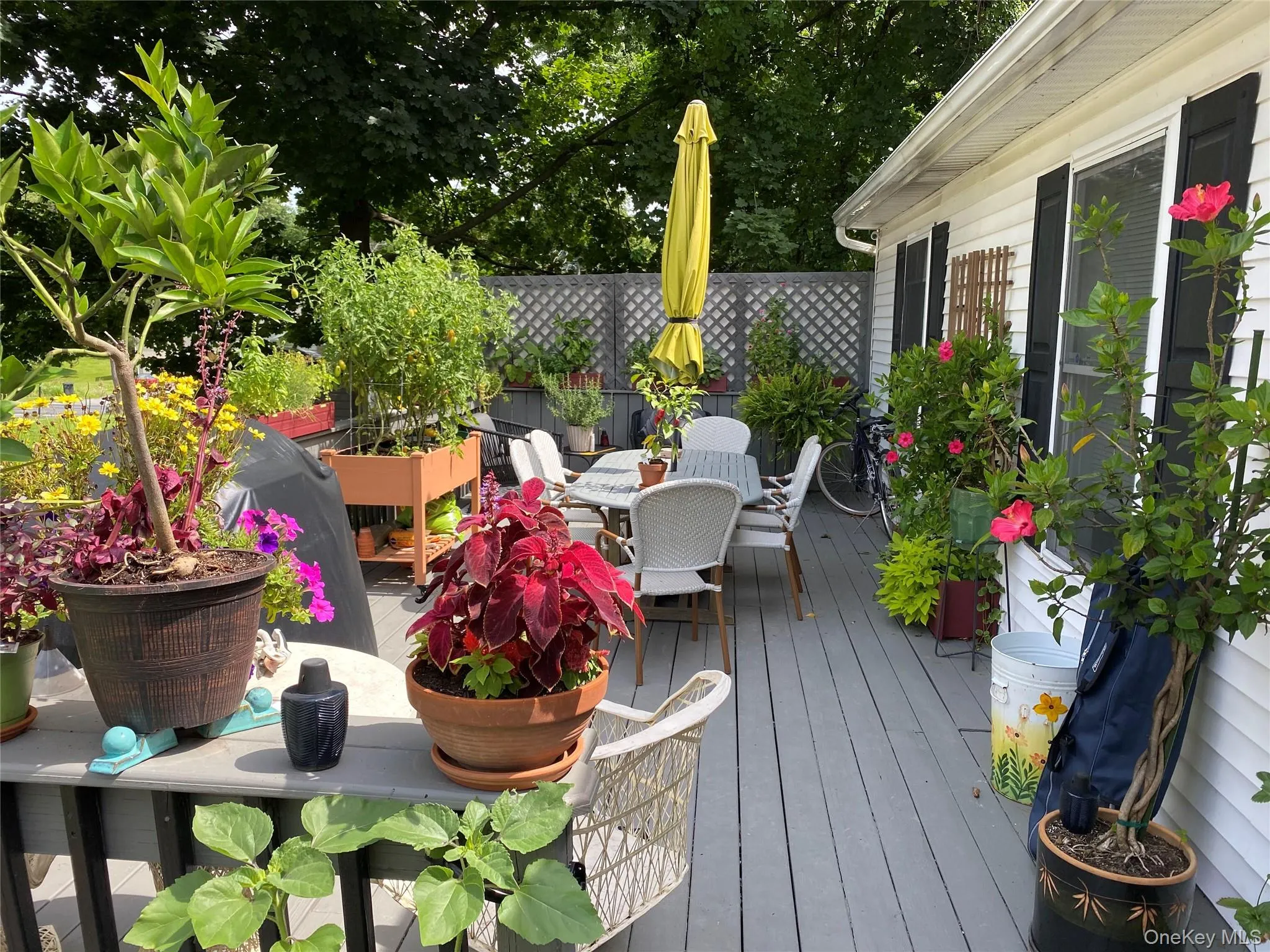 112 Scott Street, Monroe, NY, 3 Bedrooms Bedrooms, 5 Rooms Rooms,2 BathroomsBathrooms,Residential Lease,For Rent,Scott,0,974465 112 Scott Street, Monroe, NY, 3 Bedrooms Bedrooms, 5 Rooms Rooms,2 BathroomsBathrooms,Residential Lease,For Rent,Scott,0,974465