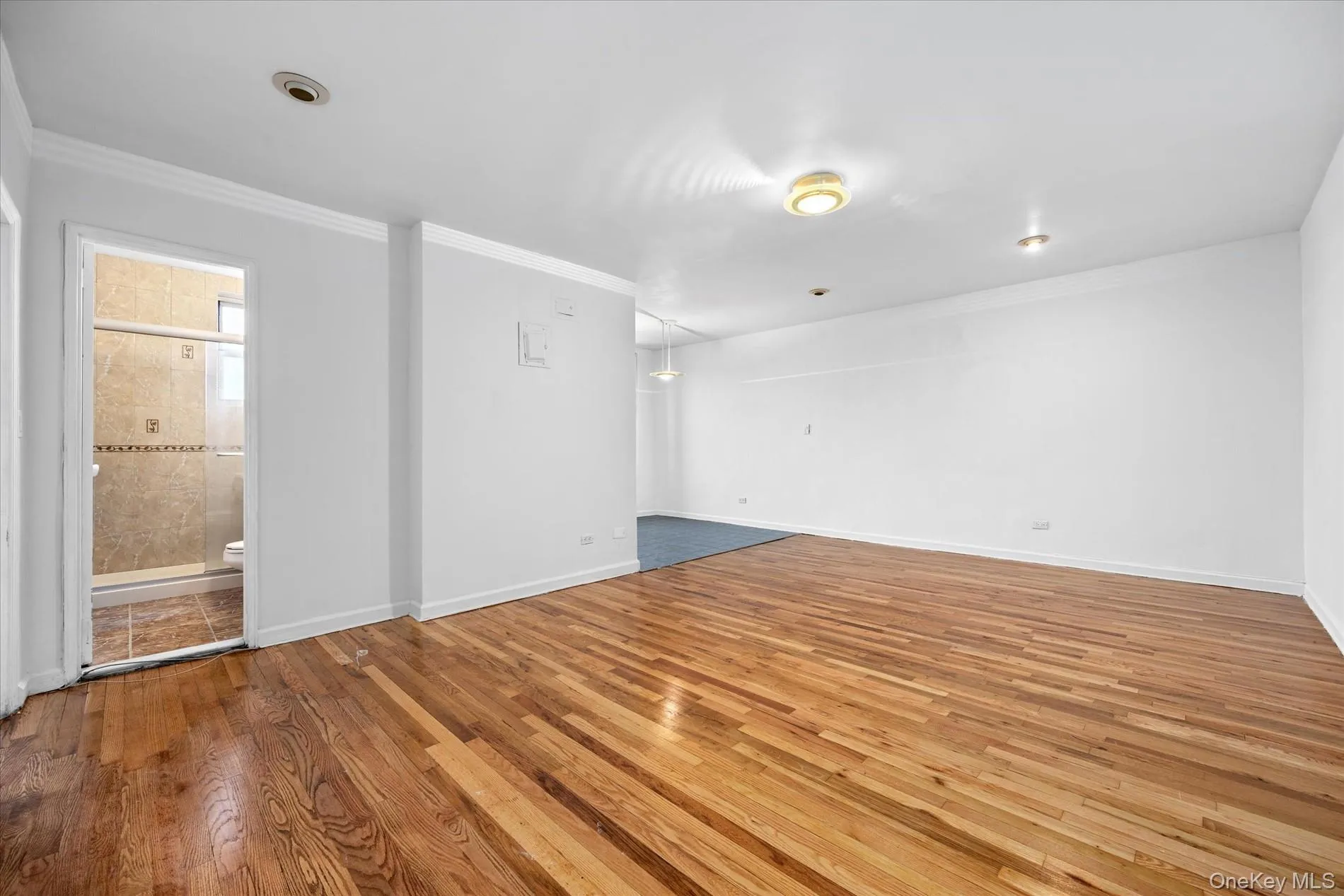 67-30 Clyde Street, New York, NY, 1 Bedroom Bedrooms, 3 Rooms Rooms,1 BathroomBathrooms,Residential,For Rent,Clyde,0,974508 67-30 Clyde Street, New York, NY, 1 Bedroom Bedrooms, 3 Rooms Rooms,1 BathroomBathrooms,Residential,For Rent,Clyde,0,974508