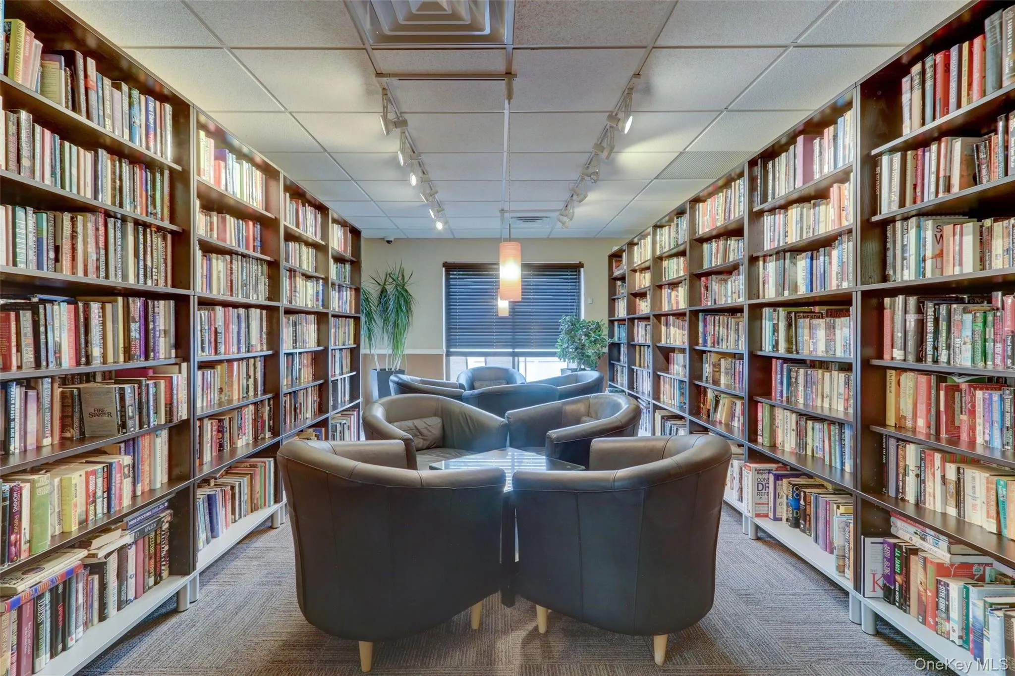 Living area with wall of books, track lighting, carpet, and a drop ceiling Living area with wall of books, track lighting, carpet, and a drop ceiling