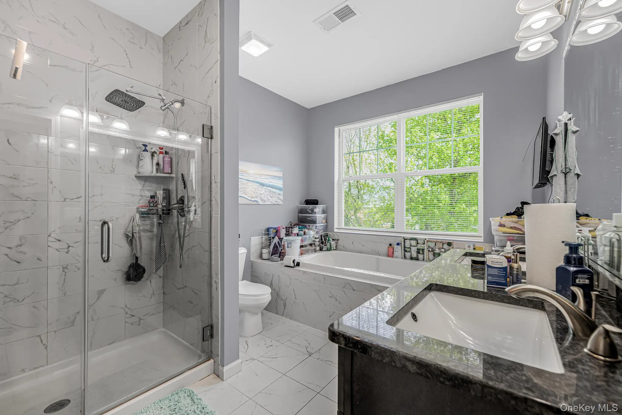 Primary Bath with jacuzzi tub Primary Bath with jacuzzi tub