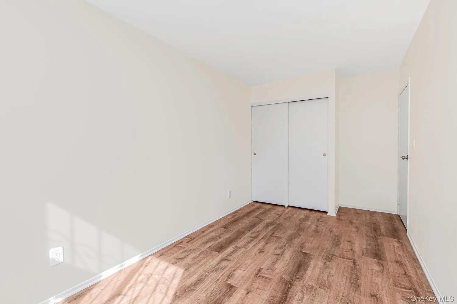 162 Ellery Street, New York, NY, 3 Bedrooms Bedrooms, 5 Rooms Rooms,1 BathroomBathrooms,Residential Lease,For Rent,Ellery,0,974619 162 Ellery Street, New York, NY, 3 Bedrooms Bedrooms, 5 Rooms Rooms,1 BathroomBathrooms,Residential Lease,For Rent,Ellery,0,974619