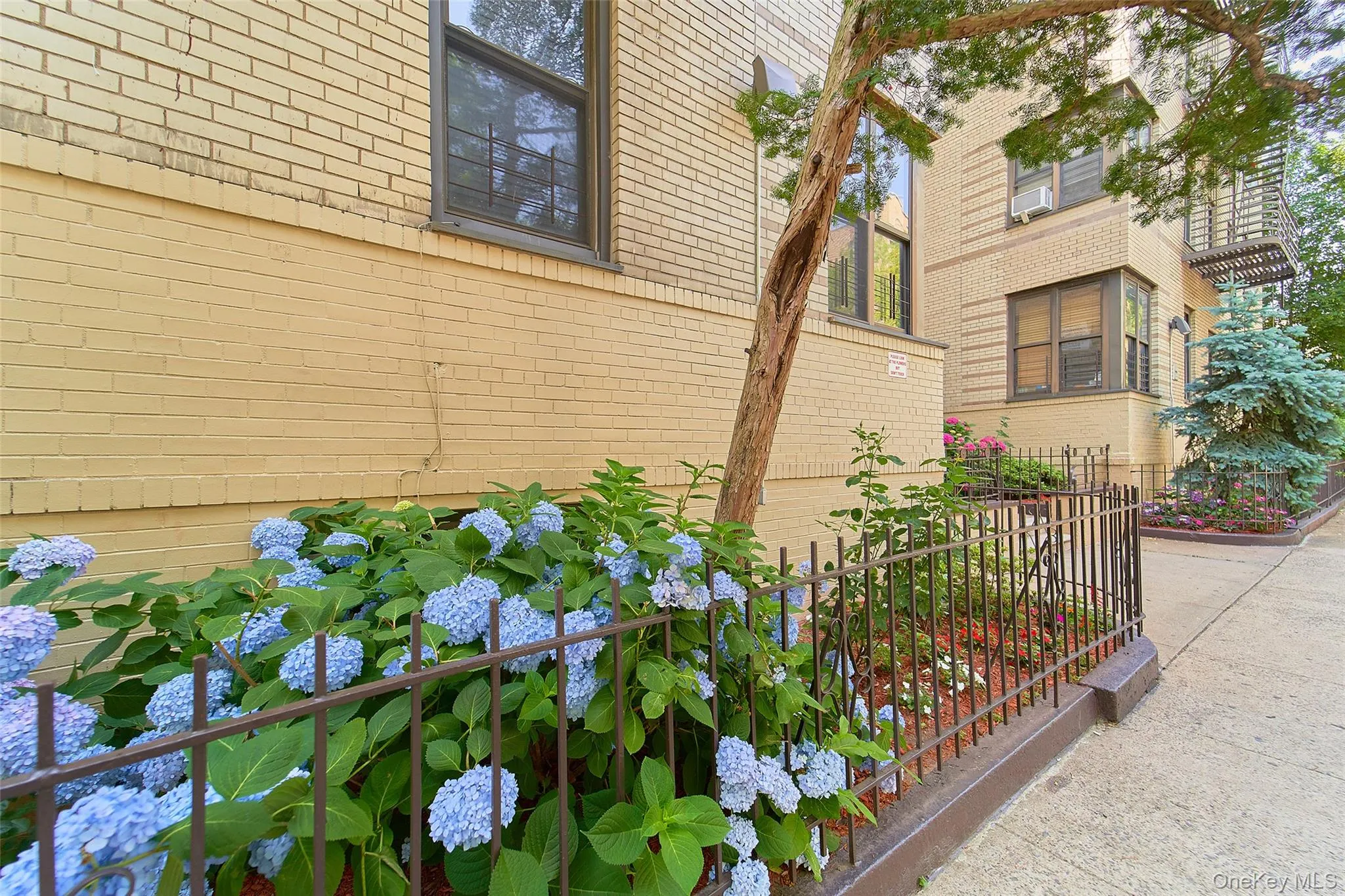 2962 Decatur Avenue, New York, NY, 1 Bedroom Bedrooms, 3 Rooms Rooms,1 BathroomBathrooms,Residential Sale,For Rent,Decatur,0,974653 2962 Decatur Avenue, New York, NY, 1 Bedroom Bedrooms, 3 Rooms Rooms,1 BathroomBathrooms,Residential Sale,For Rent,Decatur,0,974653