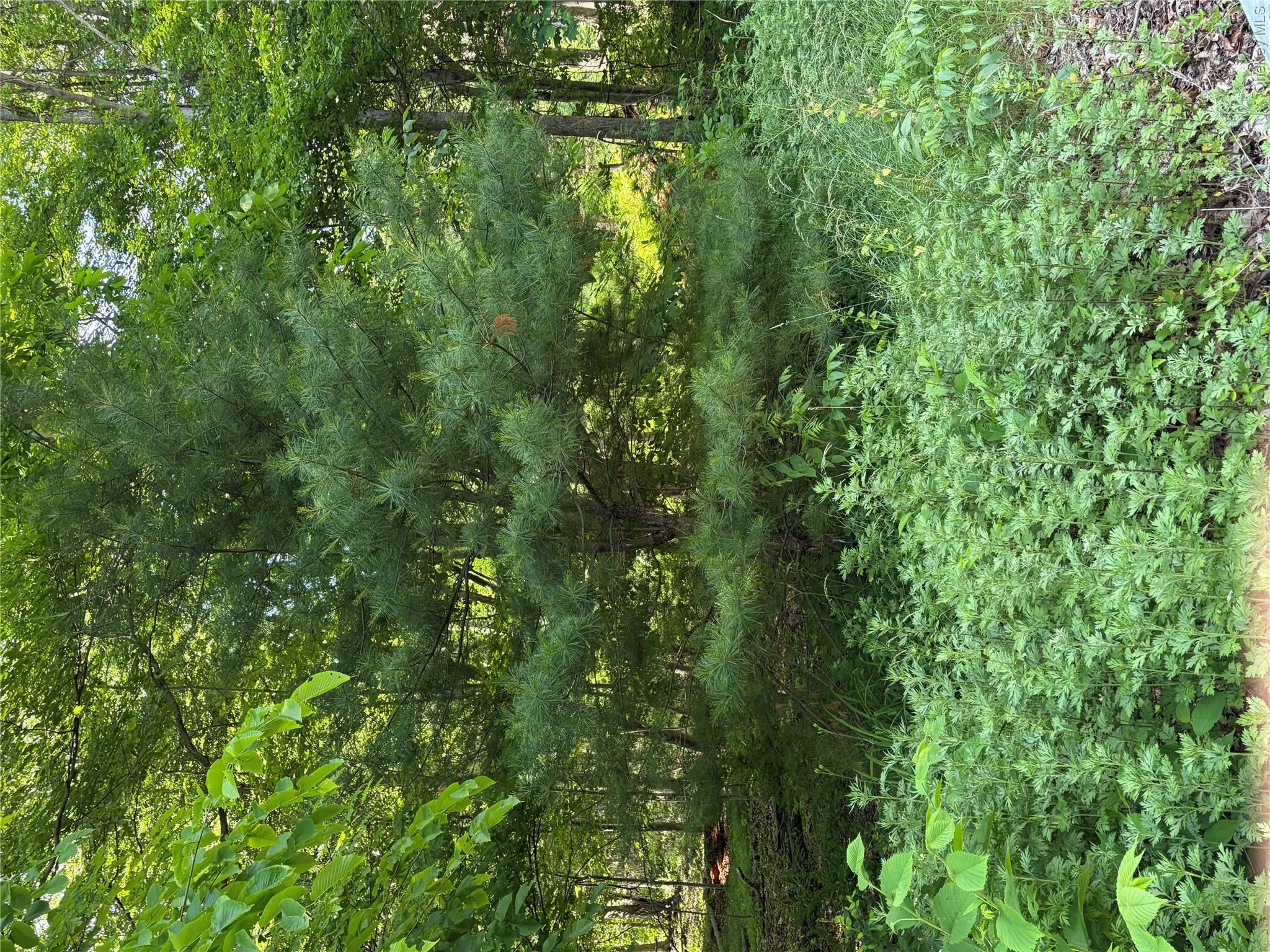 1501 US Route 209, Deerpark, NY, ,Land,For Rent,1501 US Route 209,0,974658 1501 US Route 209, Deerpark, NY, ,Land,For Rent,1501 US Route 209,0,974658