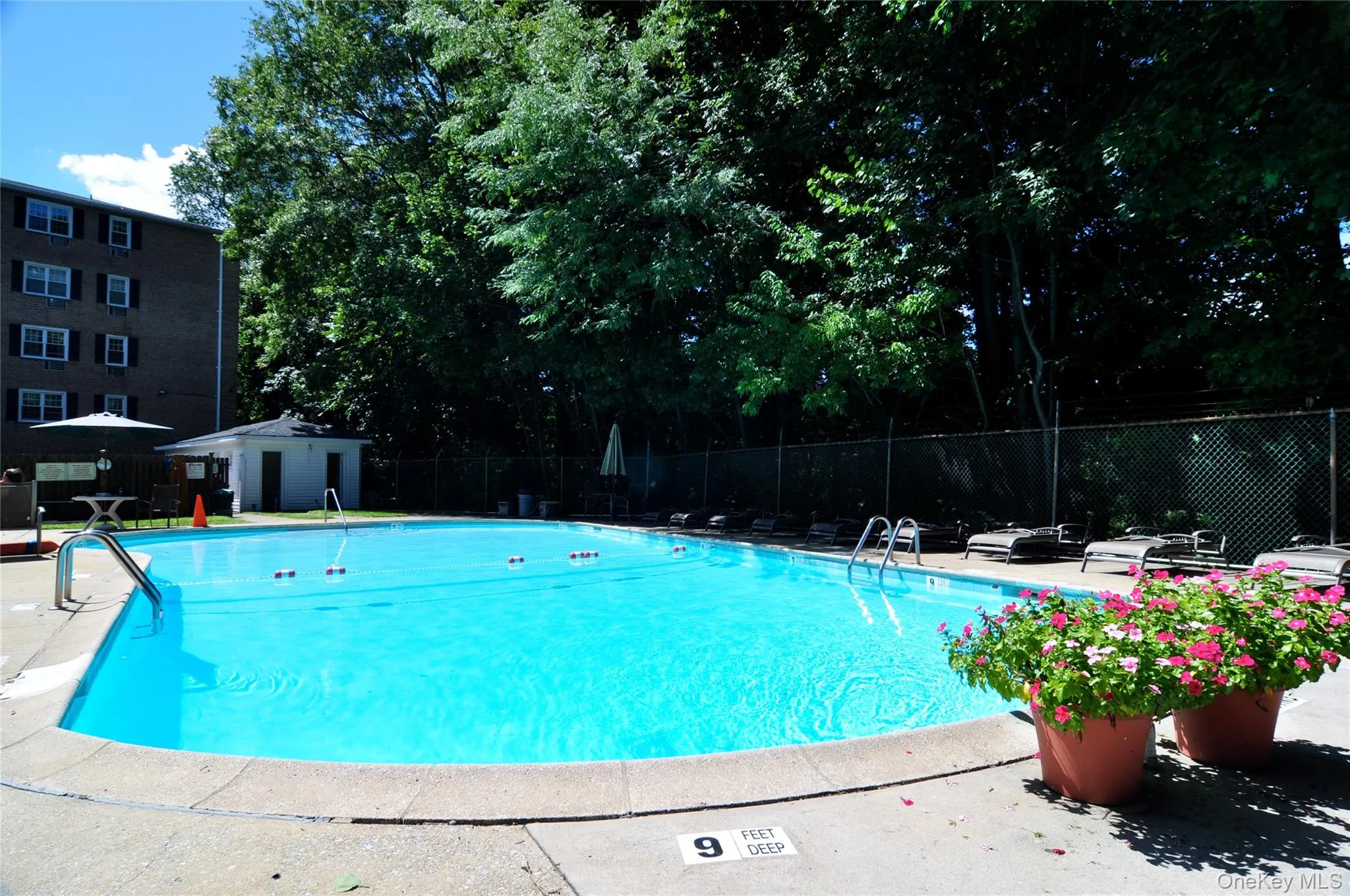 1 Consulate Drive, Eastchester, NY, 1 Bedroom Bedrooms, 3 Rooms Rooms,1 BathroomBathrooms,Residential Lease,For Rent,Consulate,0,974819 1 Consulate Drive, Eastchester, NY, 1 Bedroom Bedrooms, 3 Rooms Rooms,1 BathroomBathrooms,Residential Lease,For Rent,Consulate,0,974819