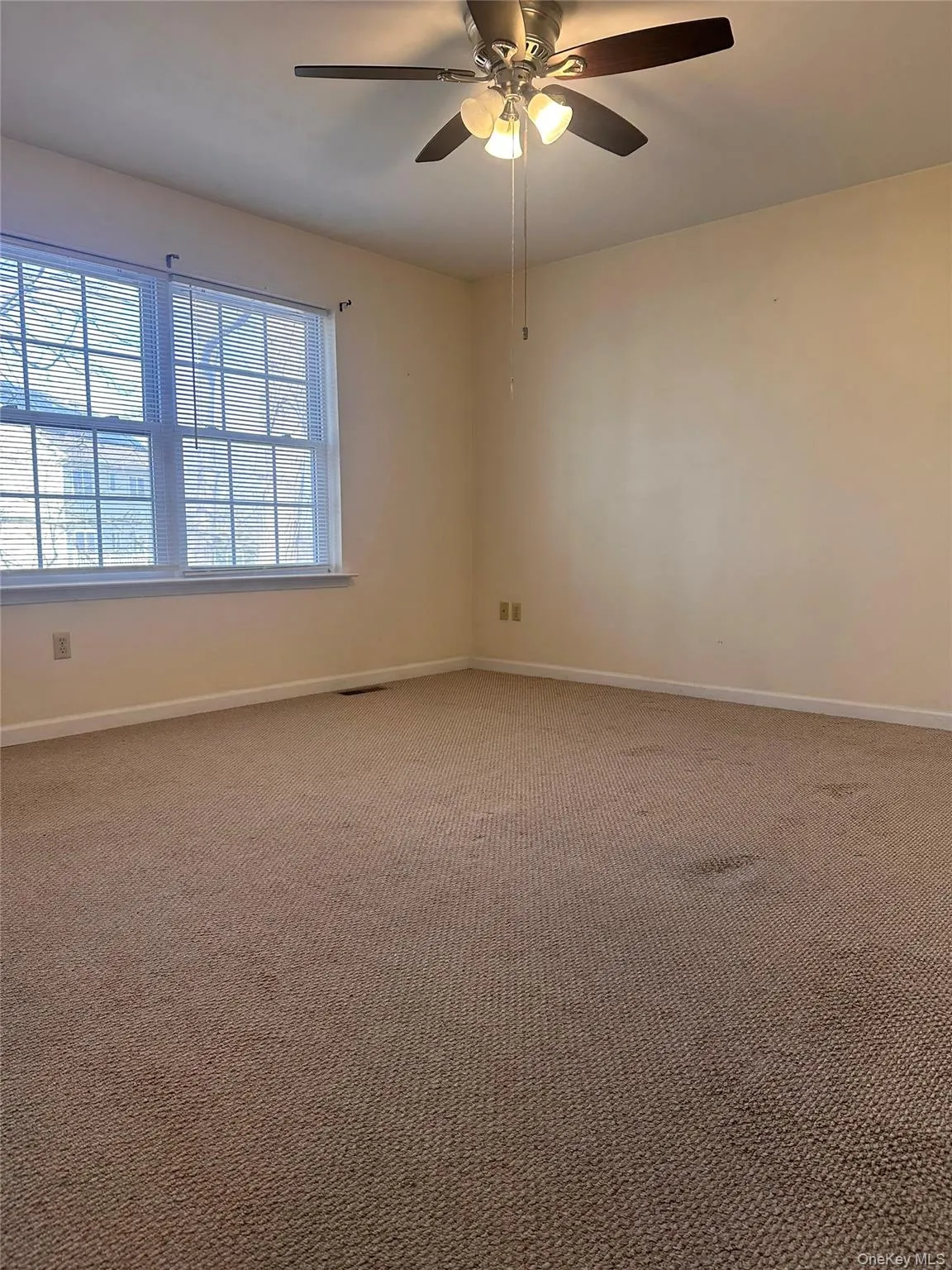 105 Montgomery Street, Montgomery, NY, 2 Bedrooms Bedrooms, 6 Rooms Rooms,1 BathroomBathrooms,Residential Lease,For Rent,Montgomery,0,974860 105 Montgomery Street, Montgomery, NY, 2 Bedrooms Bedrooms, 6 Rooms Rooms,1 BathroomBathrooms,Residential Lease,For Rent,Montgomery,0,974860