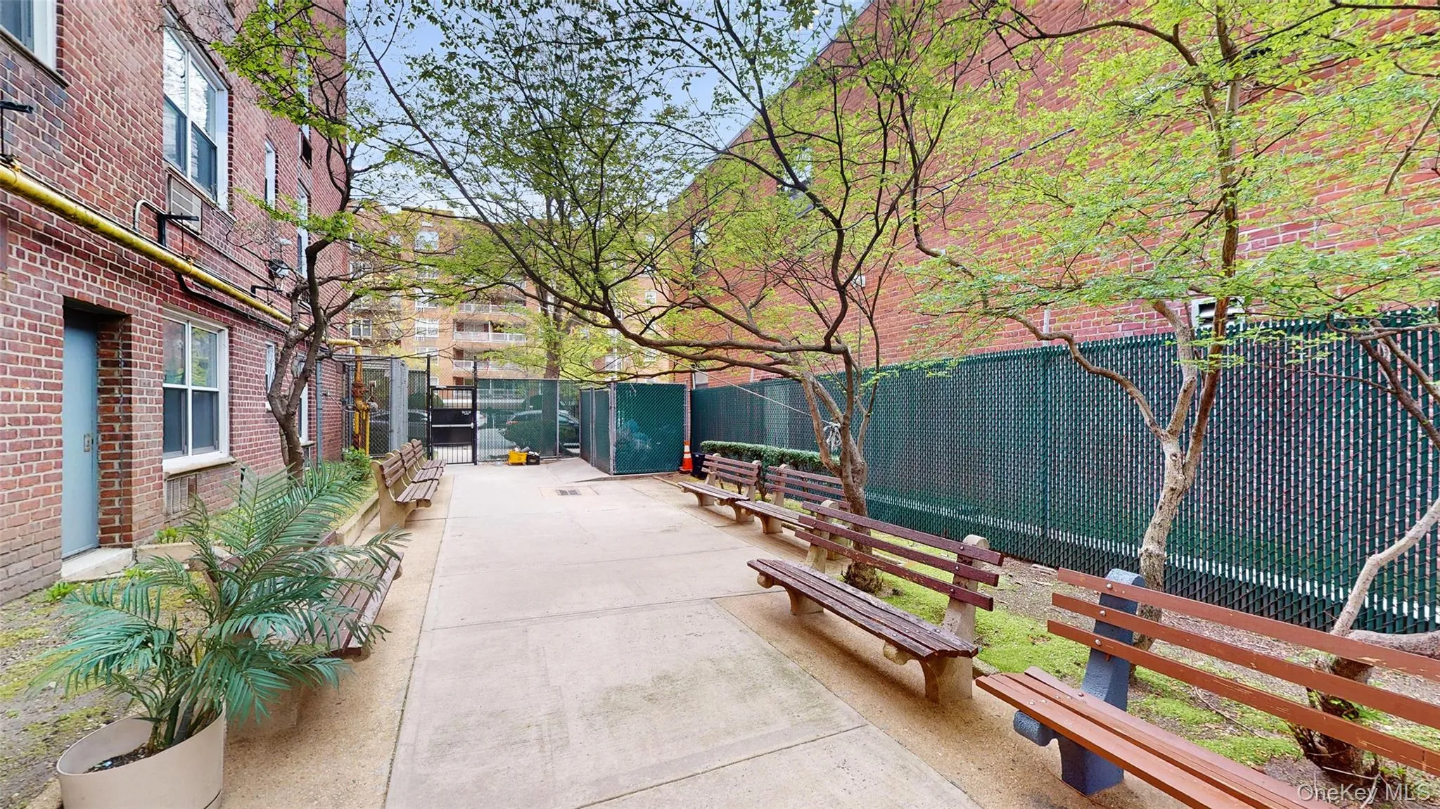34-43 60 Street, New York, NY, 3 Rooms Rooms,1 BathroomBathrooms,Residential,For Rent,60,0,974869 34-43 60 Street, New York, NY, 3 Rooms Rooms,1 BathroomBathrooms,Residential,For Rent,60,0,974869
