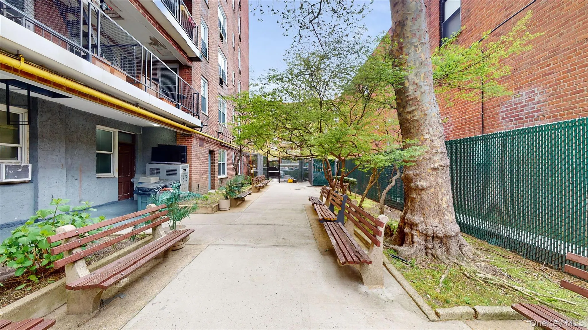 34-43 60 Street, New York, NY, 3 Rooms Rooms,1 BathroomBathrooms,Residential,For Rent,60,0,974869 34-43 60 Street, New York, NY, 3 Rooms Rooms,1 BathroomBathrooms,Residential,For Rent,60,0,974869