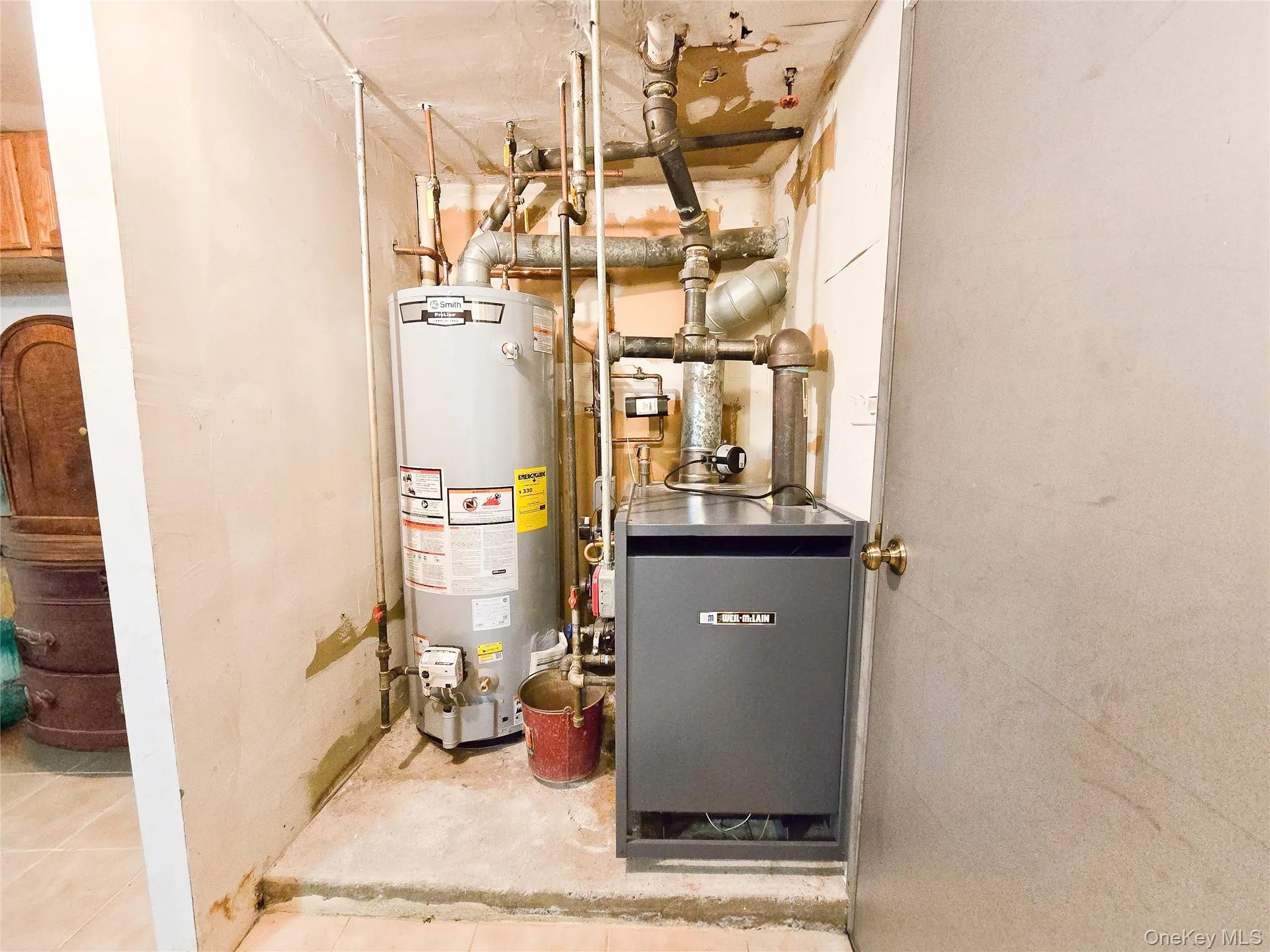 4-year young Boiler! 4-year young Boiler!