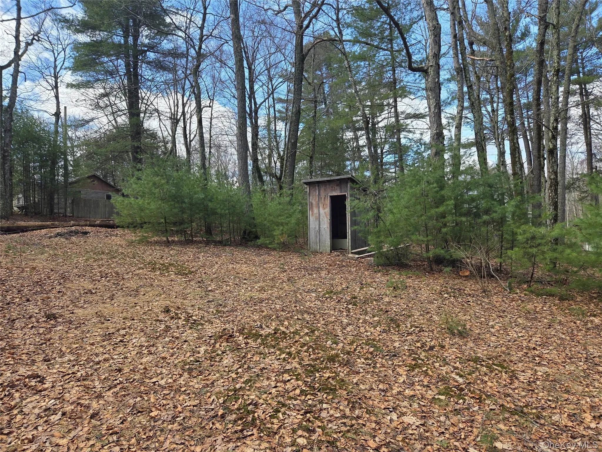 Side yard from the back of the structure with an outbuilding. Side yard from the back of the structure with an outbuilding.