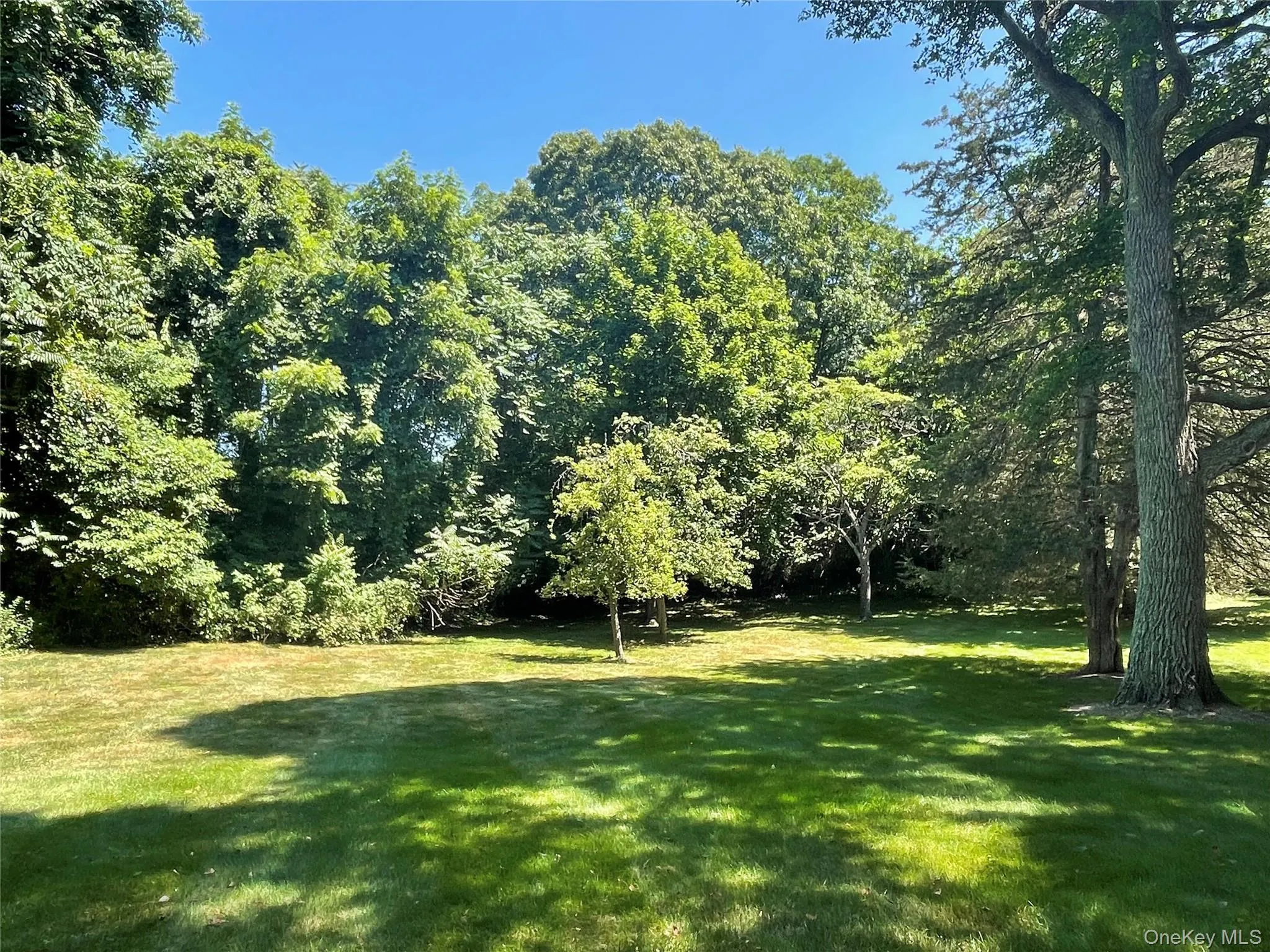 6 Beech Hill Road, Huntington, NY, 6 Bedrooms Bedrooms, 10 Rooms Rooms,3 BathroomsBathrooms,Residential Lease,For Rent,Beech Hill,0,975067 6 Beech Hill Road, Huntington, NY, 6 Bedrooms Bedrooms, 10 Rooms Rooms,3 BathroomsBathrooms,Residential Lease,For Rent,Beech Hill,0,975067