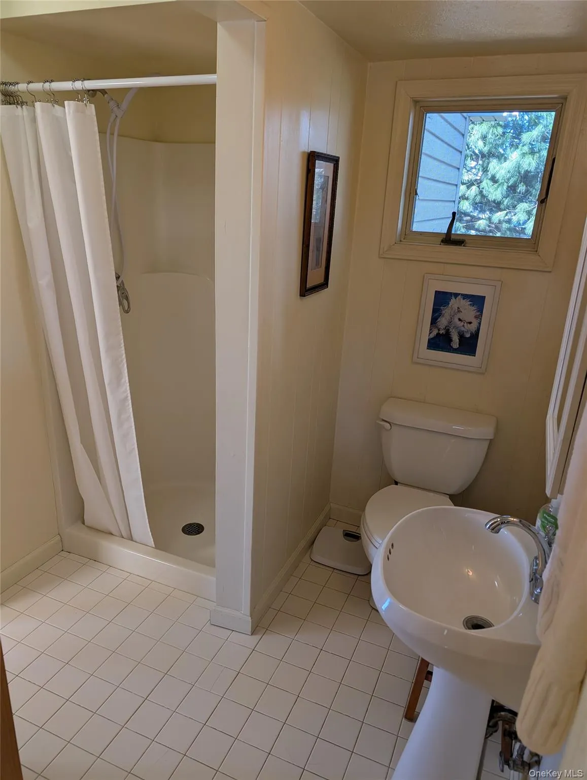 21 Maloney Lane, Goshen, NY, 3 Bedrooms Bedrooms, 8 Rooms Rooms,2 BathroomsBathrooms,Residential Lease,For Rent,Maloney,0,975080 21 Maloney Lane, Goshen, NY, 3 Bedrooms Bedrooms, 8 Rooms Rooms,2 BathroomsBathrooms,Residential Lease,For Rent,Maloney,0,975080