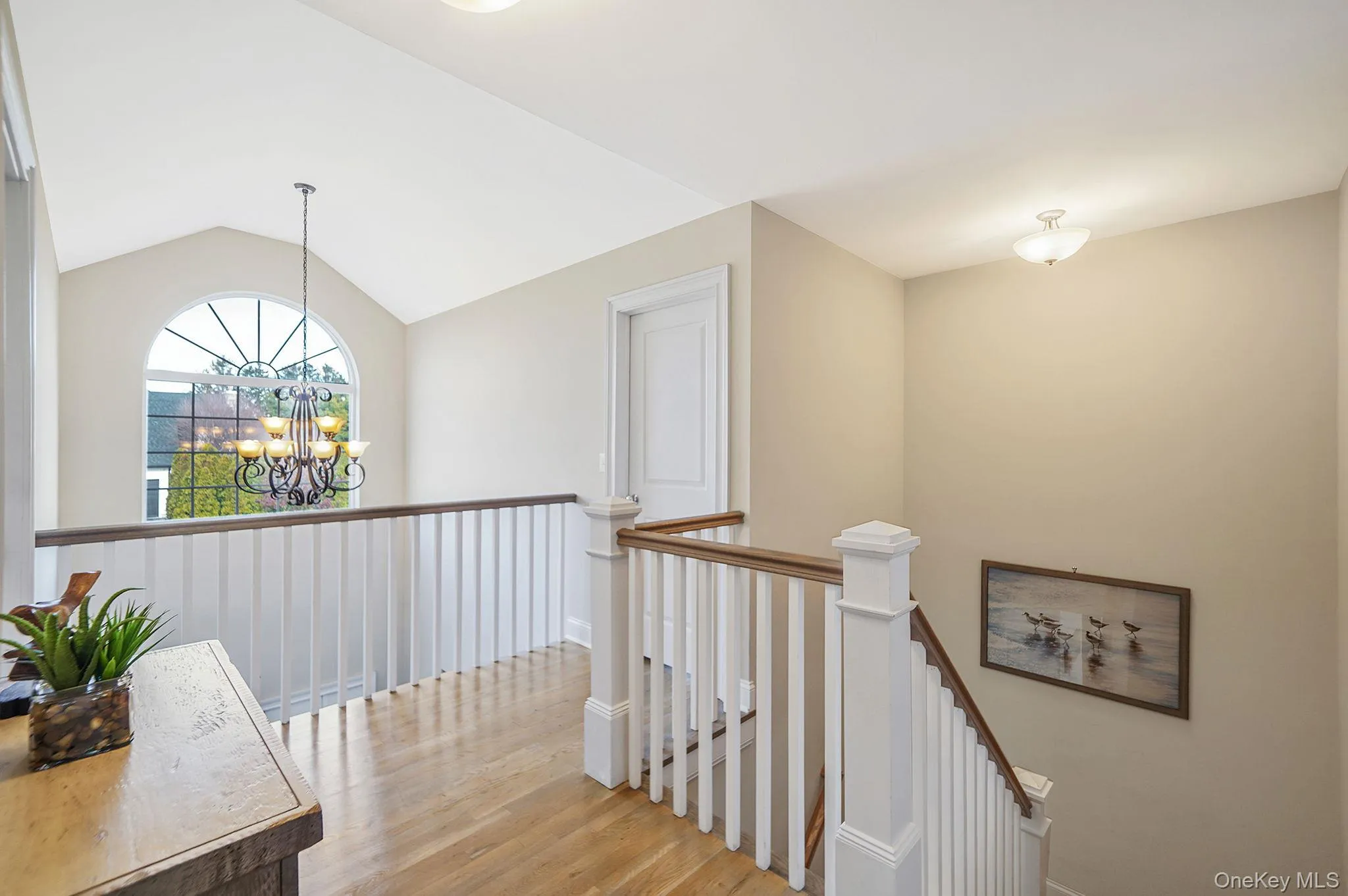 20 Dogwood Lane, Brookhaven, NY, 4 Bedrooms Bedrooms, 8 Rooms Rooms,2 BathroomsBathrooms,Residential,For Rent,Dogwood,0,975140 20 Dogwood Lane, Brookhaven, NY, 4 Bedrooms Bedrooms, 8 Rooms Rooms,2 BathroomsBathrooms,Residential,For Rent,Dogwood,0,975140
