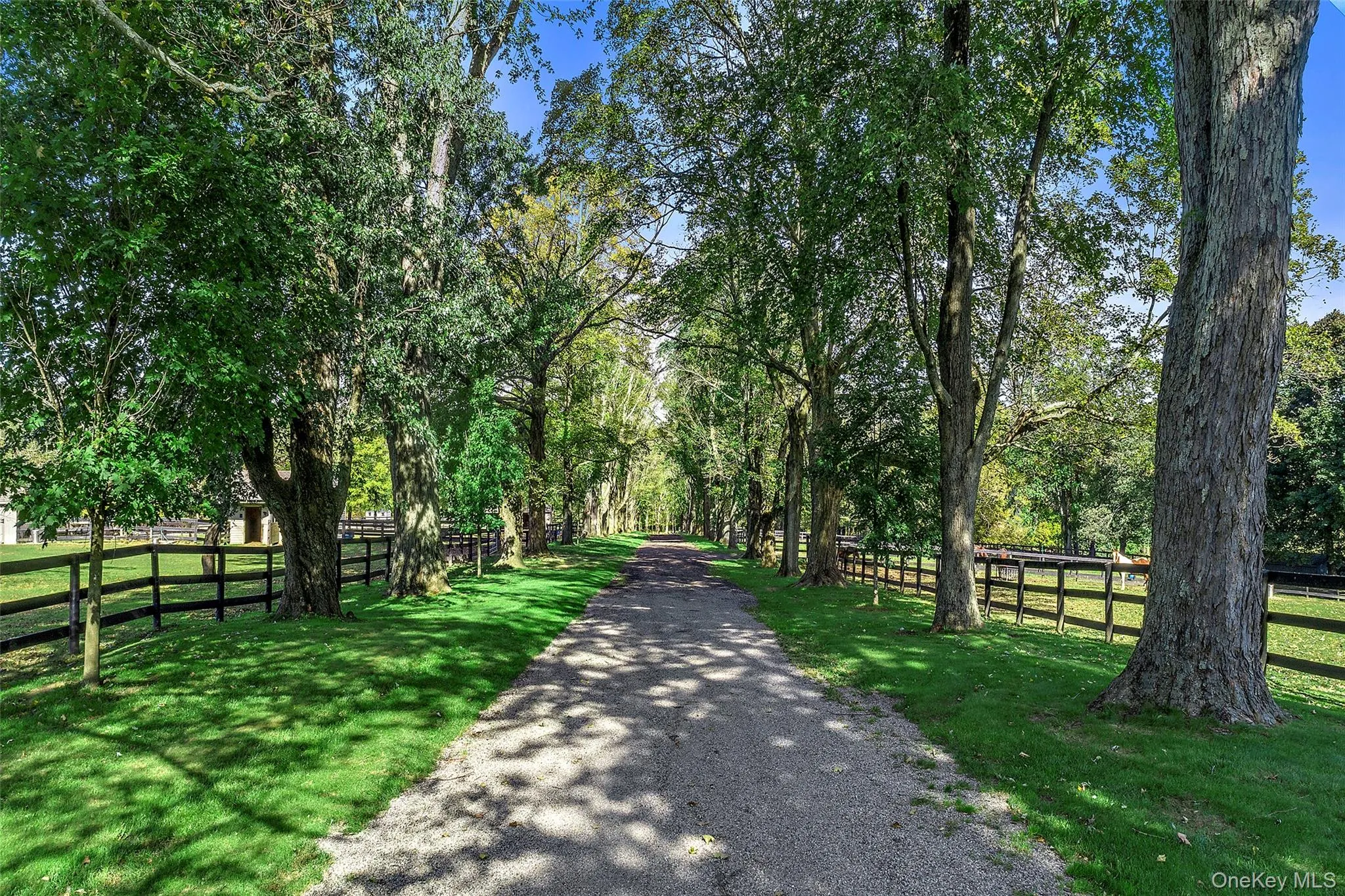 270 Guard Hill Road, Bedford, NY, 7 Bedrooms Bedrooms, 18 Rooms Rooms,7 BathroomsBathrooms,Residential Lease,For Rent,Guard Hill,0,975162 270 Guard Hill Road, Bedford, NY, 7 Bedrooms Bedrooms, 18 Rooms Rooms,7 BathroomsBathrooms,Residential Lease,For Rent,Guard Hill,0,975162