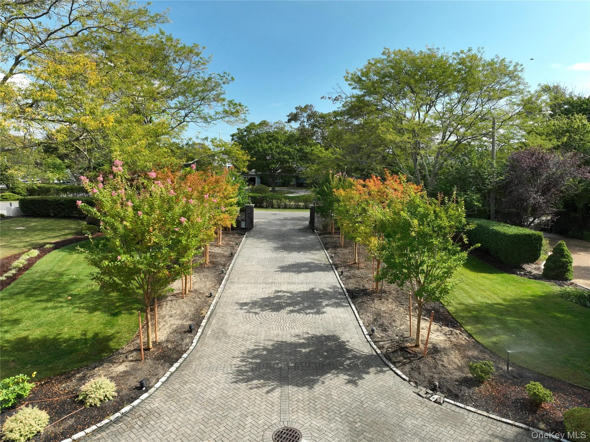 Spectacular specimen trees line the driveway path. Spectacular specimen trees line the driveway path.
