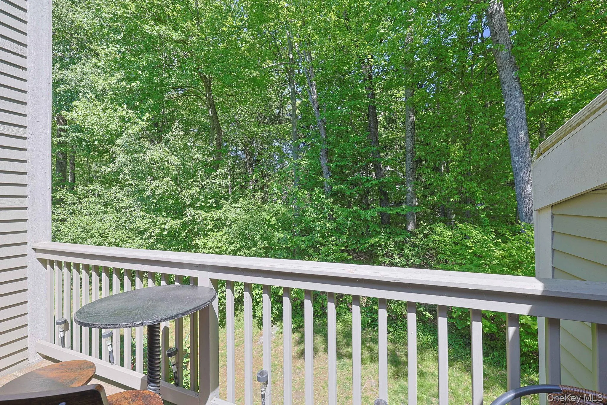 View from the deck View from the deck