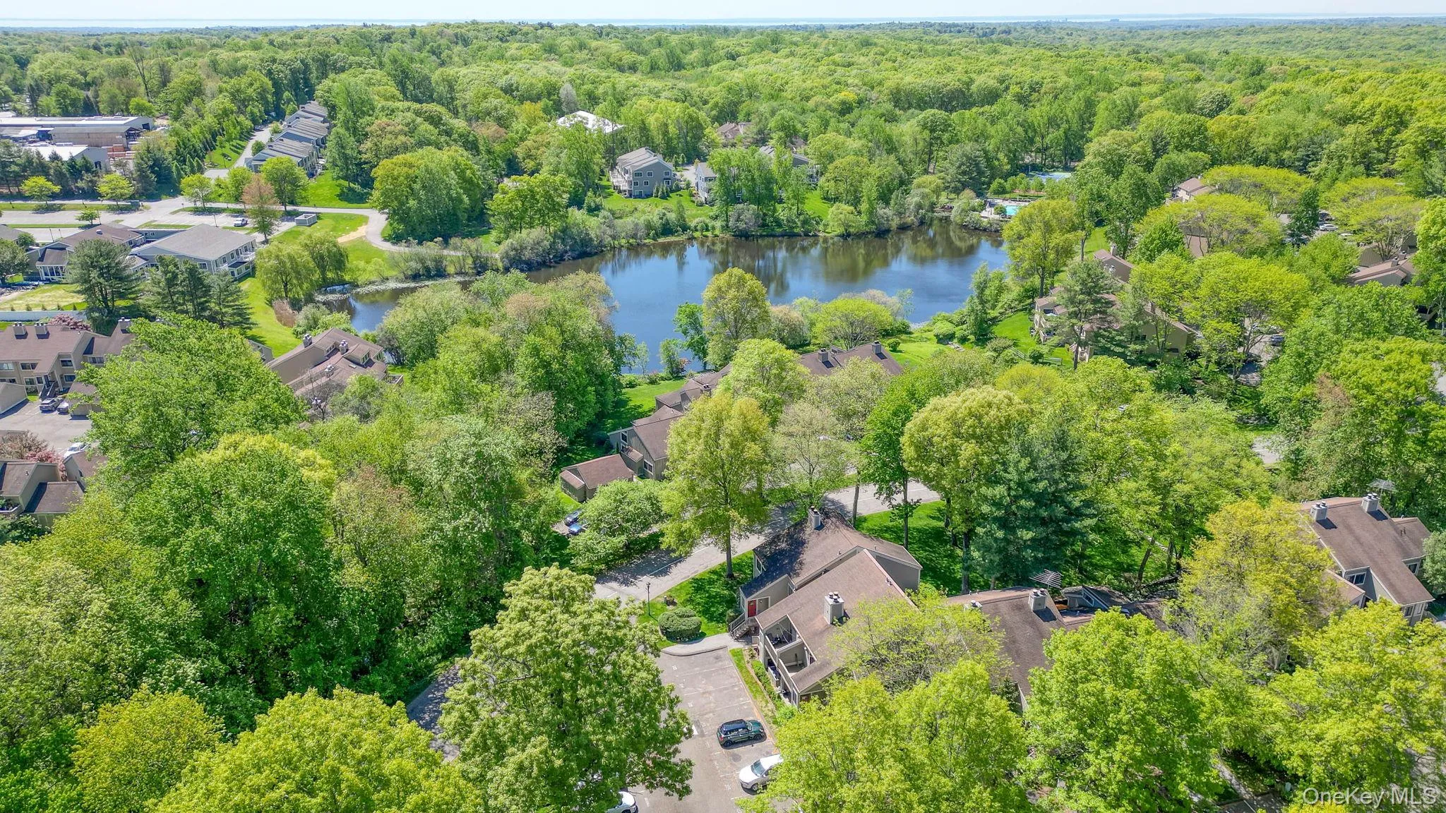 Drone view of the community Drone view of the community