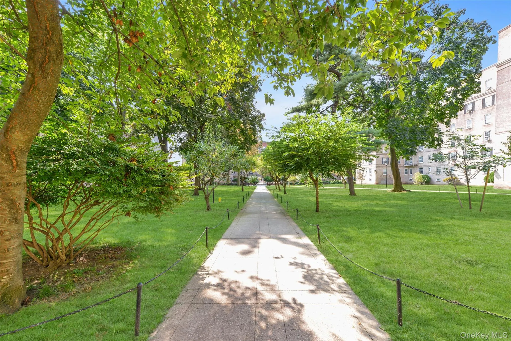 51-40 30th Avenue, New York, NY, 1 Bedroom Bedrooms, 3 Rooms Rooms,1 BathroomBathrooms,Residential,For Rent,30th,0,975235 51-40 30th Avenue, New York, NY, 1 Bedroom Bedrooms, 3 Rooms Rooms,1 BathroomBathrooms,Residential,For Rent,30th,0,975235