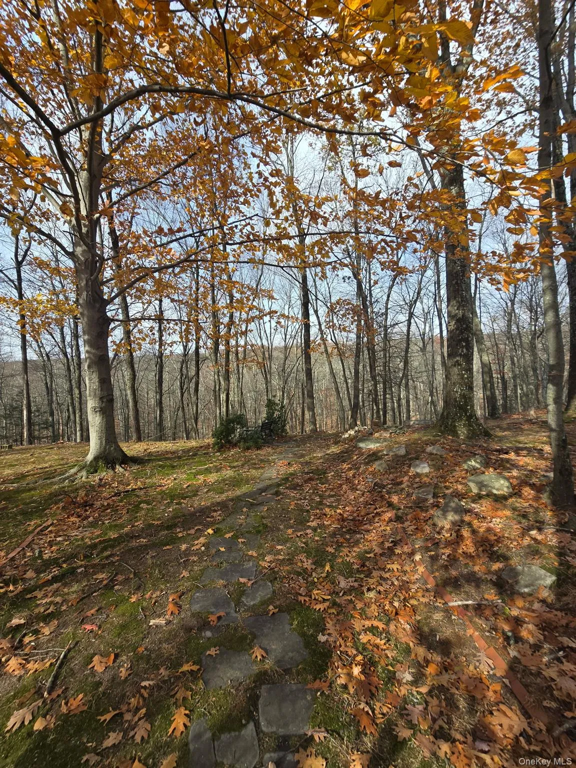 37 Hill Road, Mamakating, NY, 2 Bedrooms Bedrooms, 6 Rooms Rooms,1 BathroomBathrooms,Residential Lease,For Rent,Hill,0,975244 37 Hill Road, Mamakating, NY, 2 Bedrooms Bedrooms, 6 Rooms Rooms,1 BathroomBathrooms,Residential Lease,For Rent,Hill,0,975244