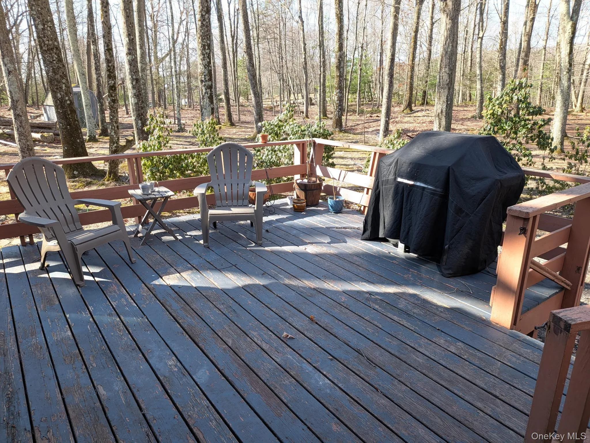 37 Hill Road, Mamakating, NY, 2 Bedrooms Bedrooms, 6 Rooms Rooms,1 BathroomBathrooms,Residential Lease,For Rent,Hill,0,975244 37 Hill Road, Mamakating, NY, 2 Bedrooms Bedrooms, 6 Rooms Rooms,1 BathroomBathrooms,Residential Lease,For Rent,Hill,0,975244