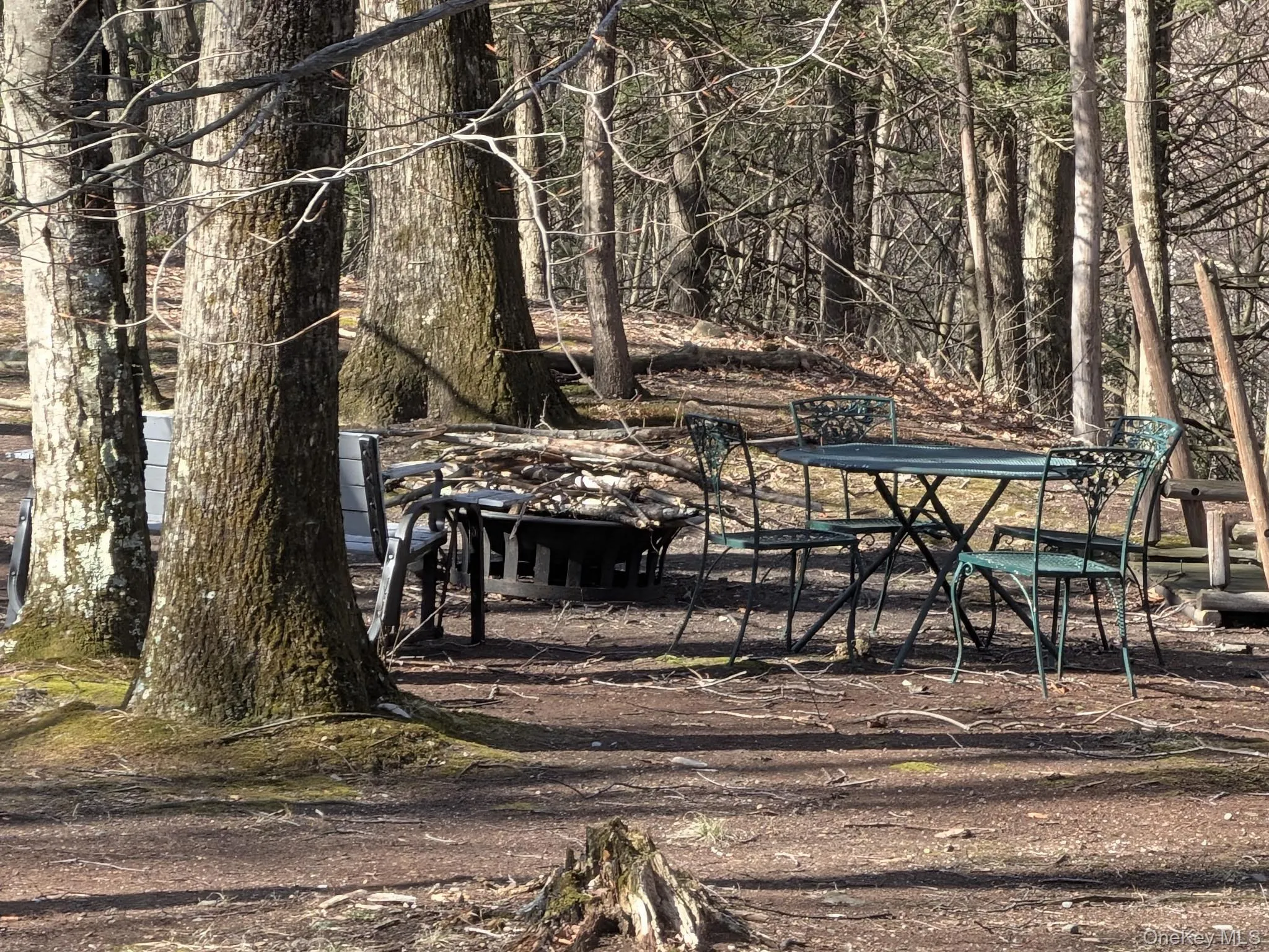 37 Hill Road, Mamakating, NY, 2 Bedrooms Bedrooms, 6 Rooms Rooms,1 BathroomBathrooms,Residential Lease,For Rent,Hill,0,975244 37 Hill Road, Mamakating, NY, 2 Bedrooms Bedrooms, 6 Rooms Rooms,1 BathroomBathrooms,Residential Lease,For Rent,Hill,0,975244