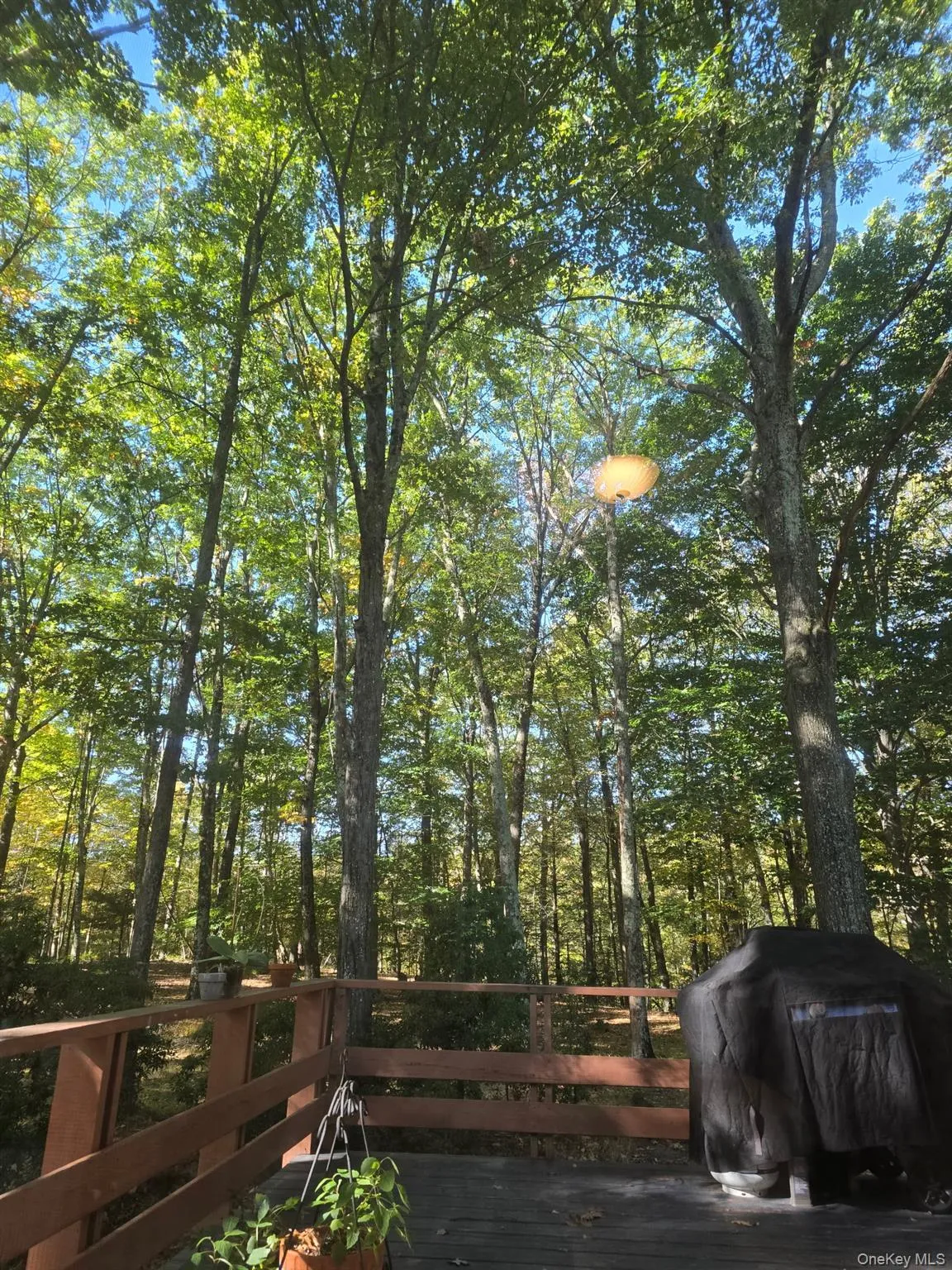 37 Hill Road, Mamakating, NY, 2 Bedrooms Bedrooms, 6 Rooms Rooms,1 BathroomBathrooms,Residential Lease,For Rent,Hill,0,975244 37 Hill Road, Mamakating, NY, 2 Bedrooms Bedrooms, 6 Rooms Rooms,1 BathroomBathrooms,Residential Lease,For Rent,Hill,0,975244