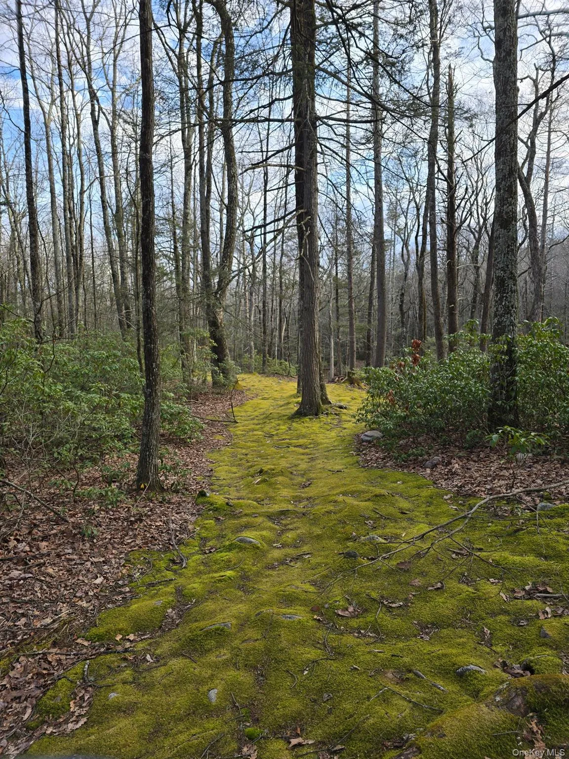 37 Hill Road, Mamakating, NY, 2 Bedrooms Bedrooms, 6 Rooms Rooms,1 BathroomBathrooms,Residential Lease,For Rent,Hill,0,975244 37 Hill Road, Mamakating, NY, 2 Bedrooms Bedrooms, 6 Rooms Rooms,1 BathroomBathrooms,Residential Lease,For Rent,Hill,0,975244