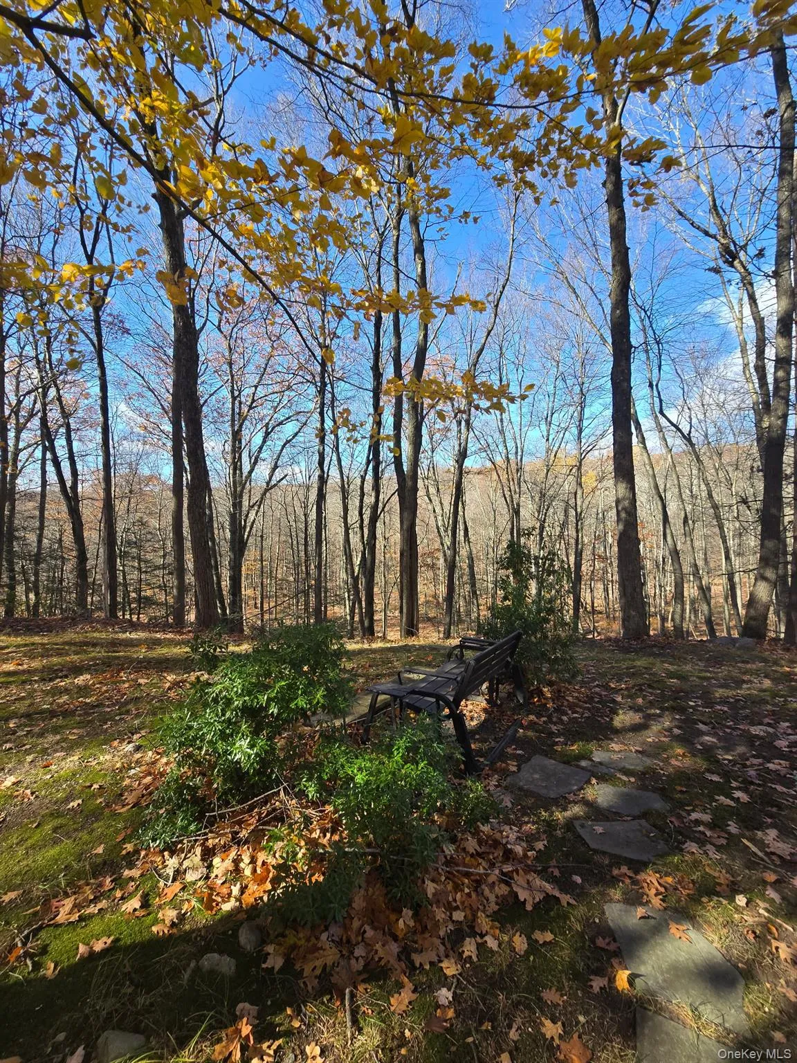 37 Hill Road, Mamakating, NY, 2 Bedrooms Bedrooms, 6 Rooms Rooms,1 BathroomBathrooms,Residential Lease,For Rent,Hill,0,975244 37 Hill Road, Mamakating, NY, 2 Bedrooms Bedrooms, 6 Rooms Rooms,1 BathroomBathrooms,Residential Lease,For Rent,Hill,0,975244