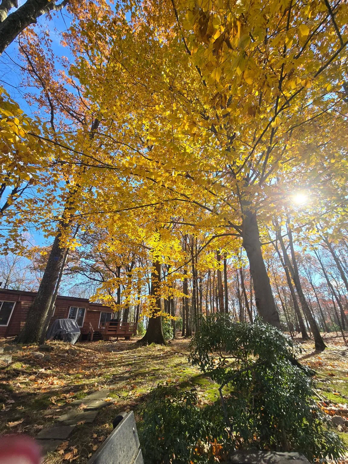 37 Hill Road, Mamakating, NY, 2 Bedrooms Bedrooms, 6 Rooms Rooms,1 BathroomBathrooms,Residential Lease,For Rent,Hill,0,975244 37 Hill Road, Mamakating, NY, 2 Bedrooms Bedrooms, 6 Rooms Rooms,1 BathroomBathrooms,Residential Lease,For Rent,Hill,0,975244