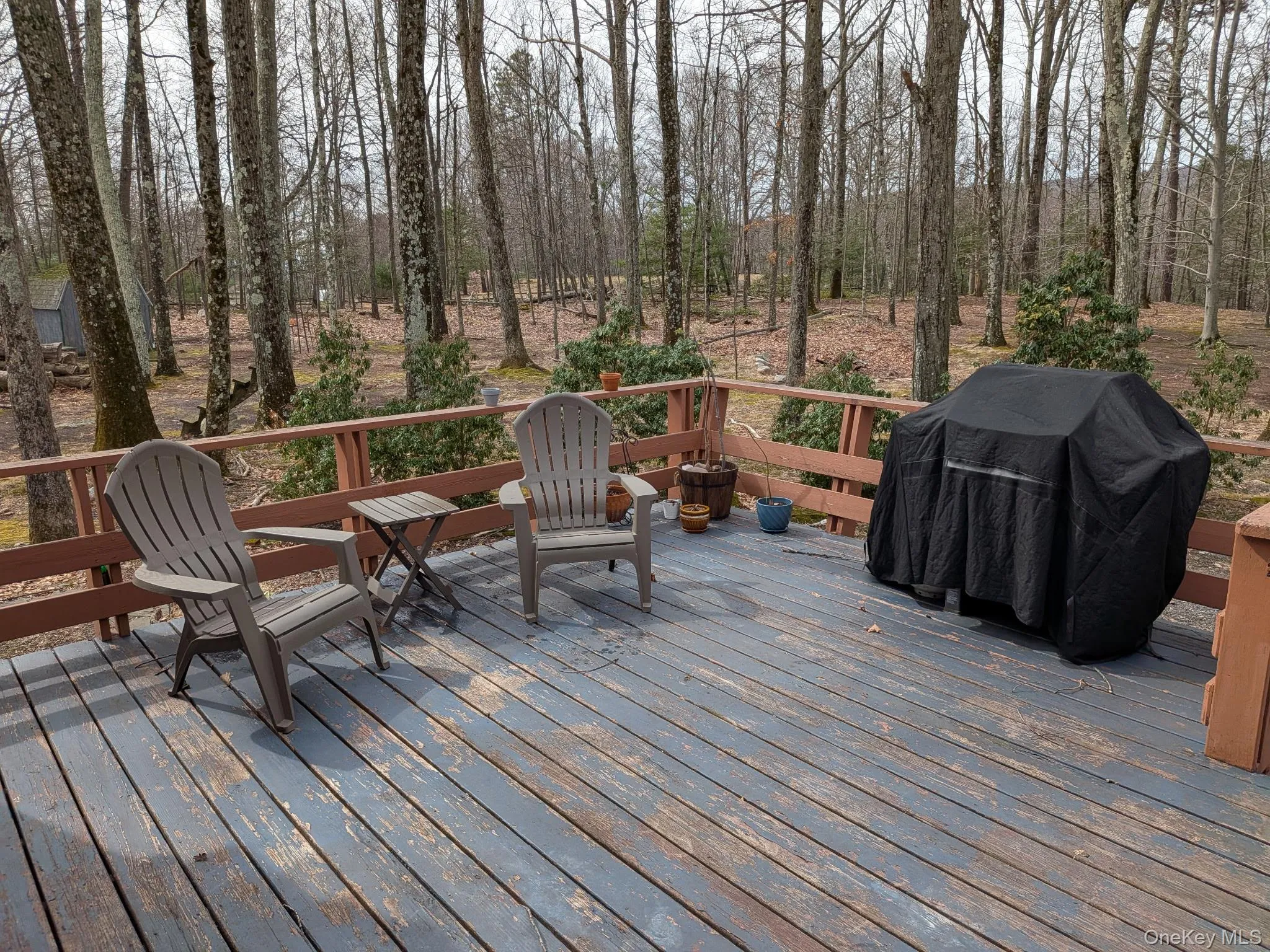 37 Hill Road, Mamakating, NY, 2 Bedrooms Bedrooms, 6 Rooms Rooms,1 BathroomBathrooms,Residential Lease,For Rent,Hill,0,975244 37 Hill Road, Mamakating, NY, 2 Bedrooms Bedrooms, 6 Rooms Rooms,1 BathroomBathrooms,Residential Lease,For Rent,Hill,0,975244