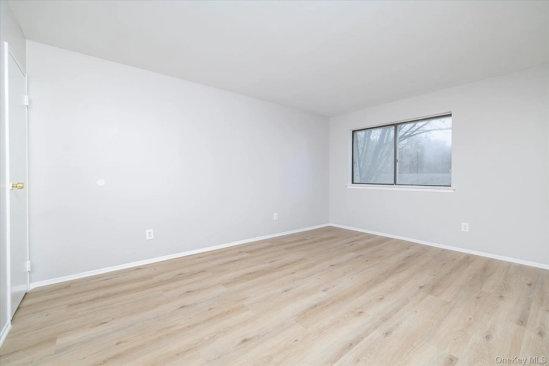 Large Primary Bedroom Large Primary Bedroom