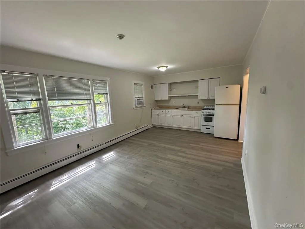 Unfurnished living room with wood-type flooring, sink, and a baseboard radiator Unfurnished living room with wood-type flooring, sink, and a baseboard radiator